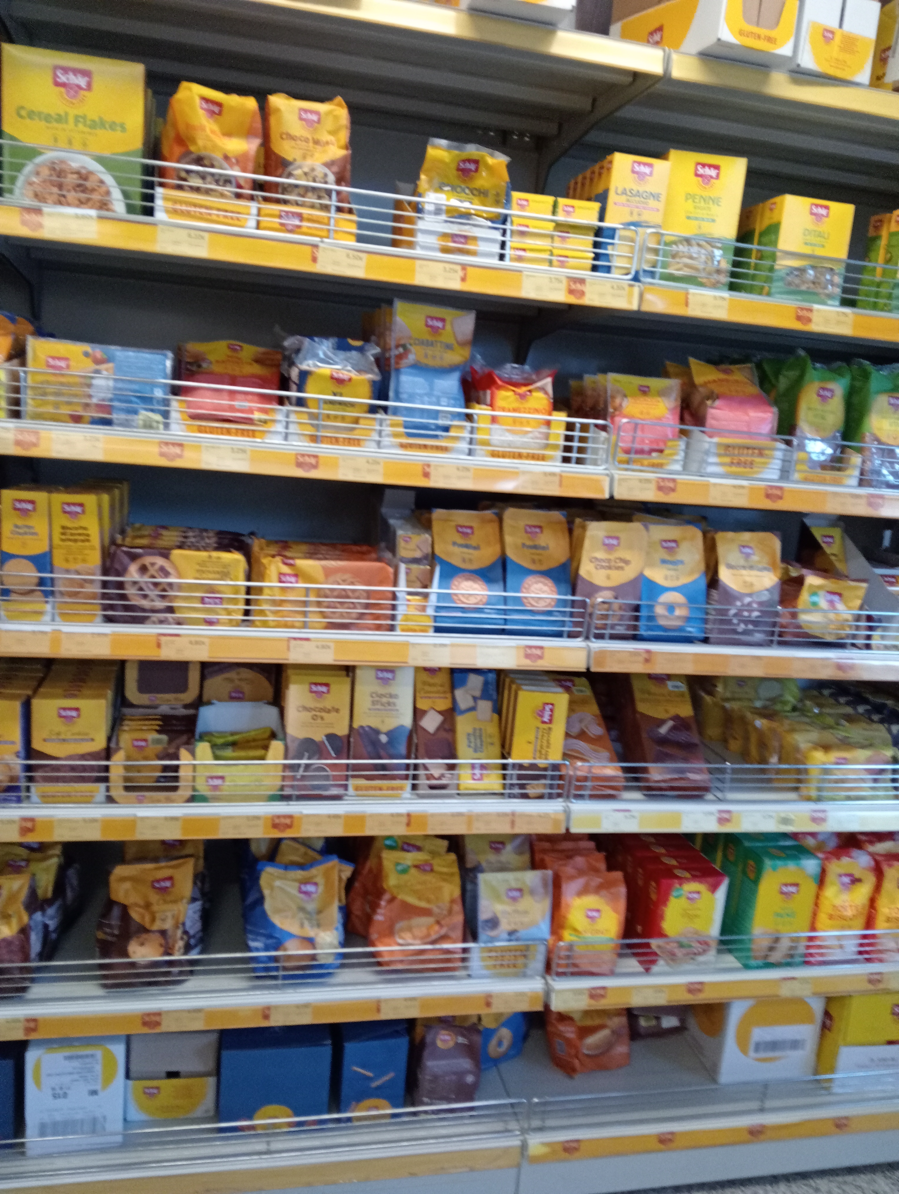 /api/file/public/265264/30005