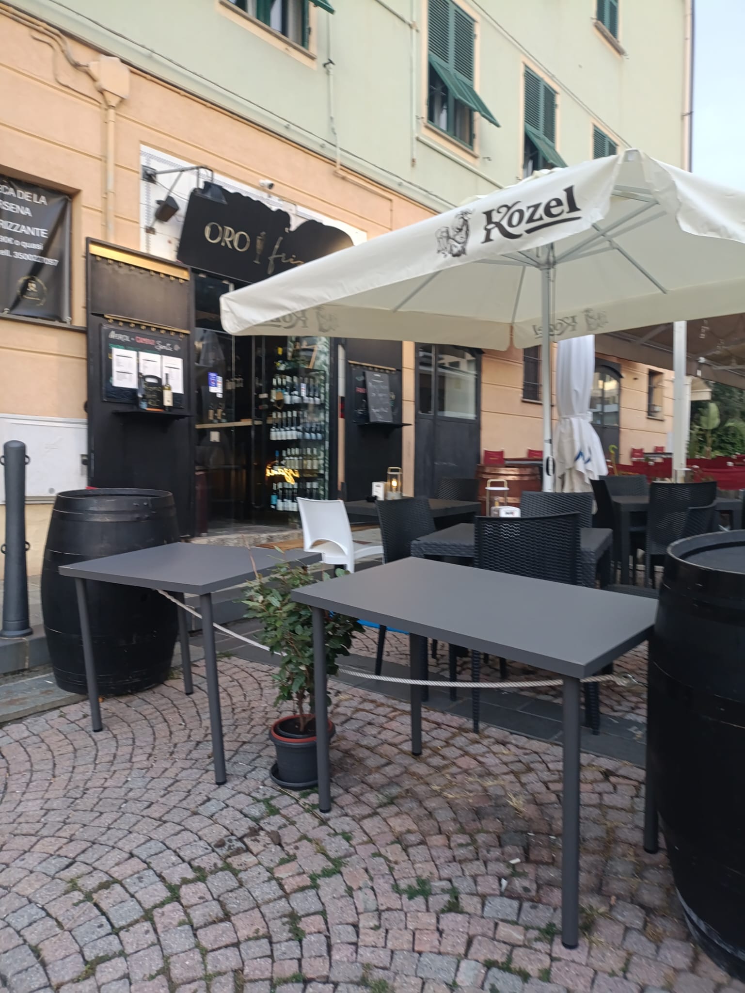 /api/file/public/265268/30099