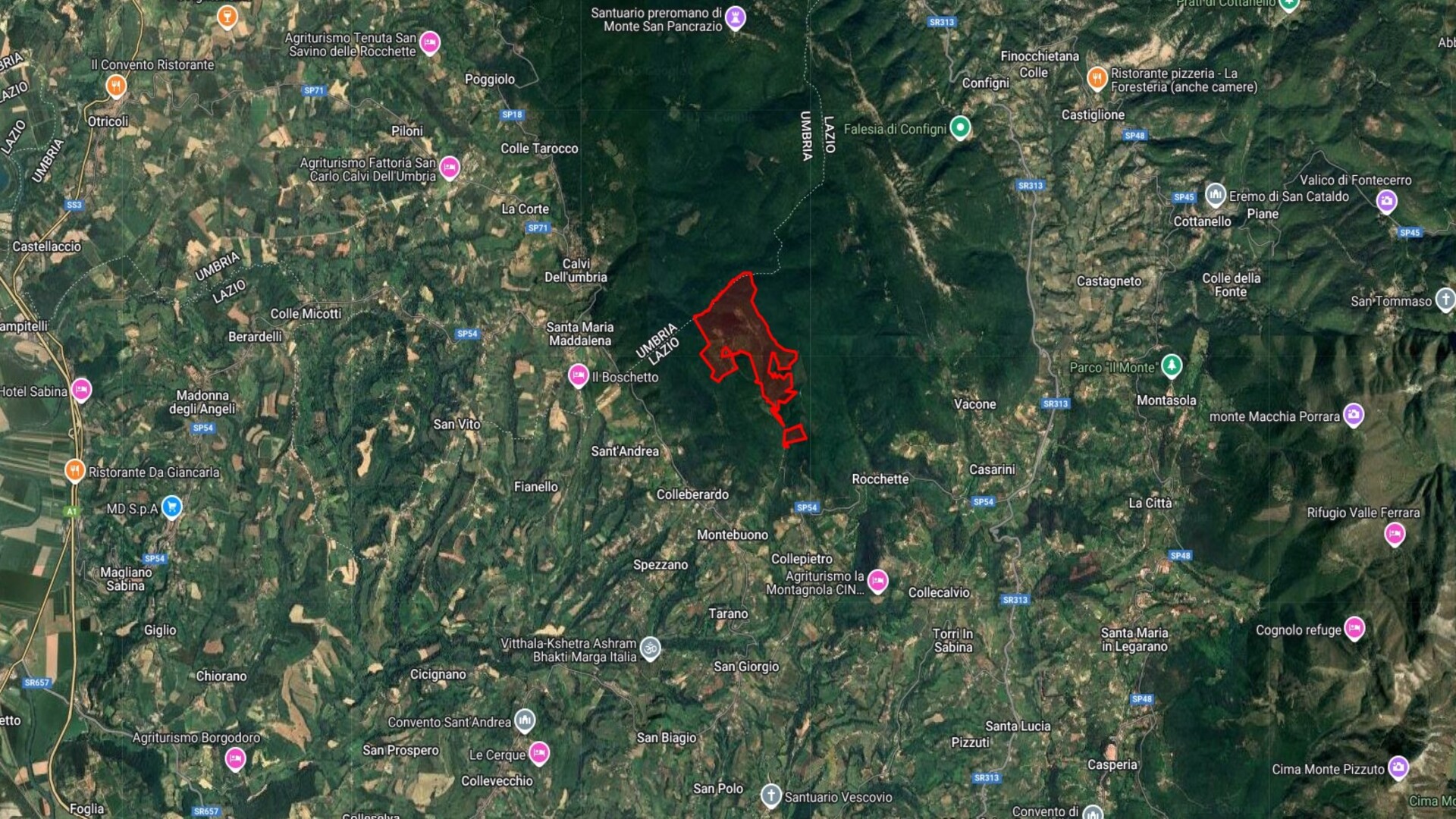 /api/file/public/265270/30105