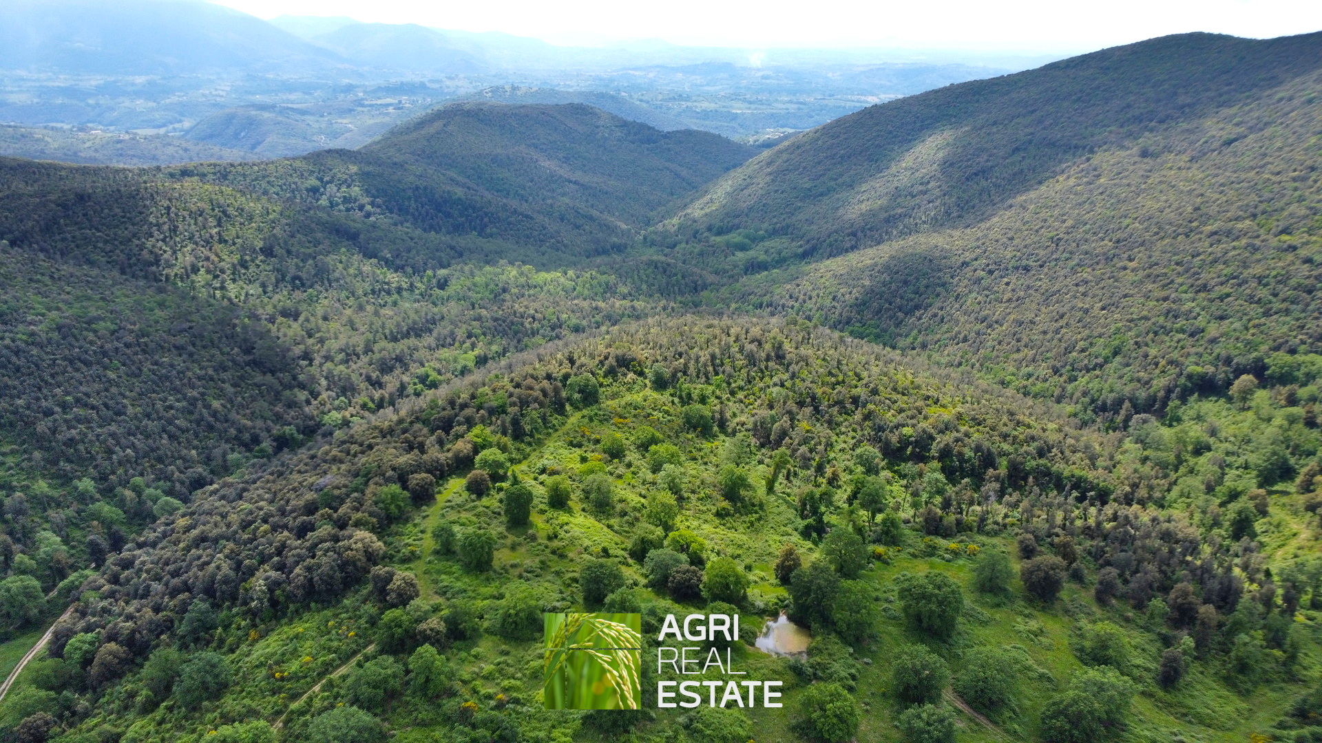 /api/file/public/265270/30109