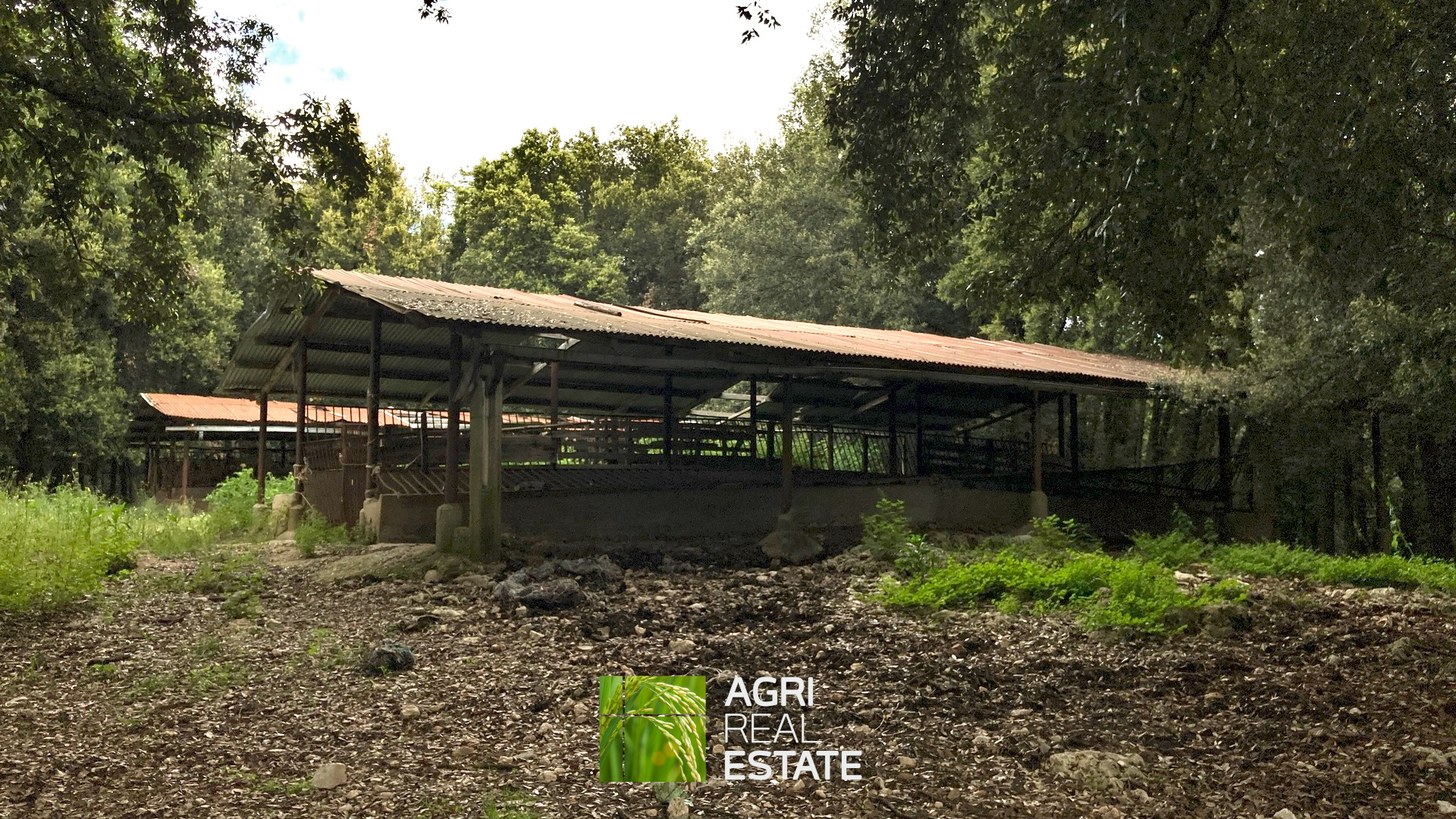 /api/file/public/265270/30111