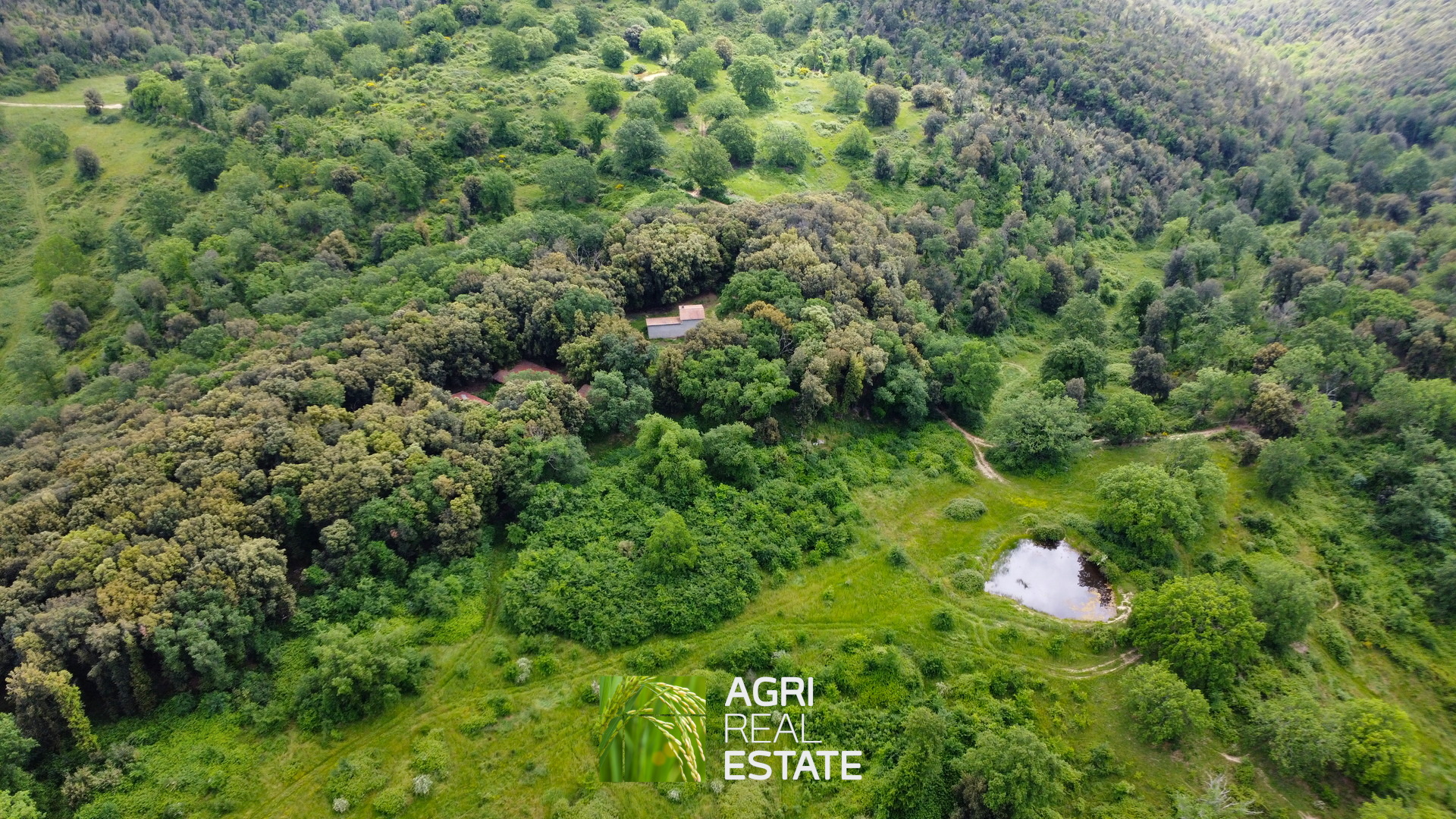 /api/file/public/265270/30112