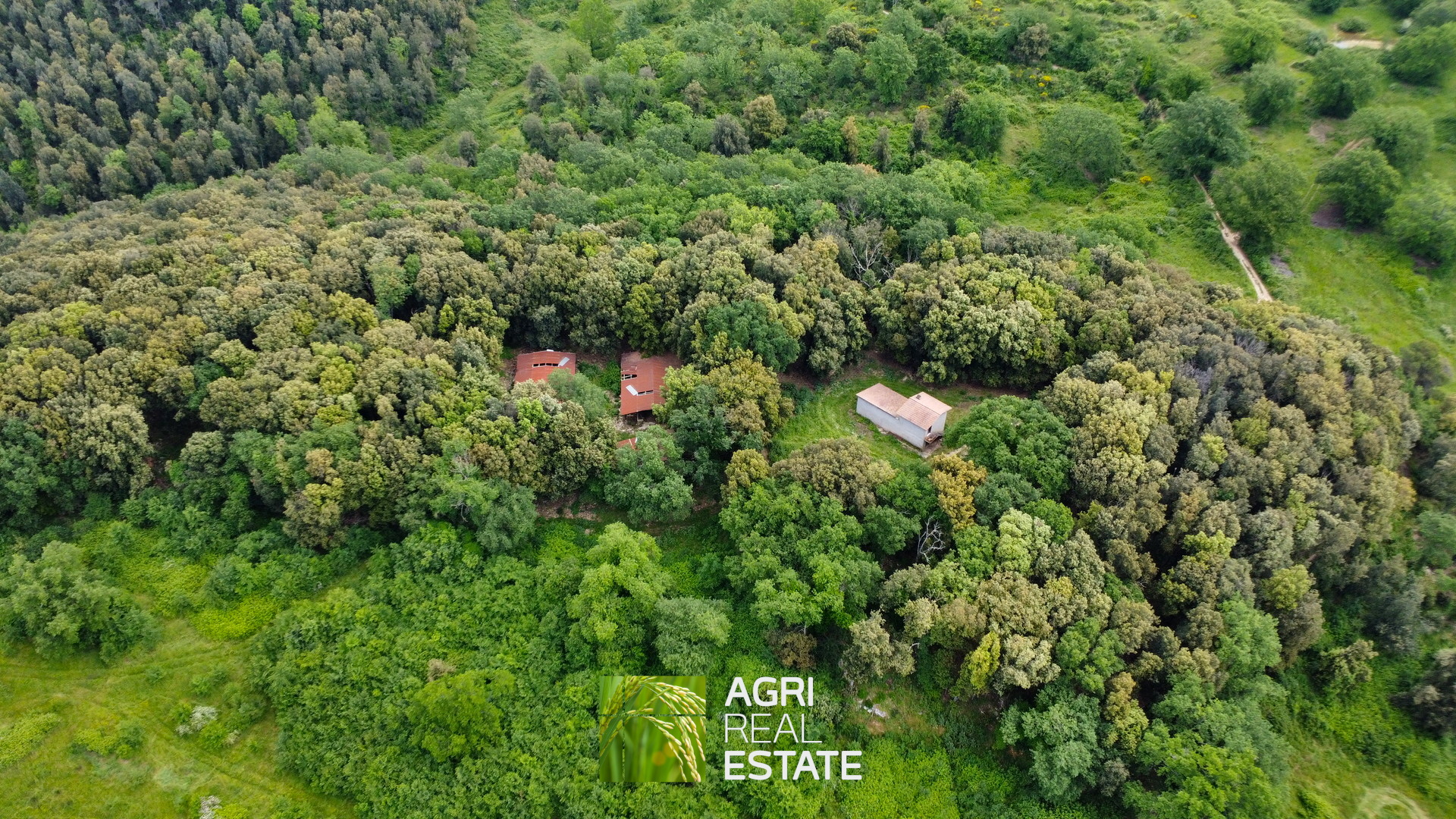 /api/file/public/265270/30113