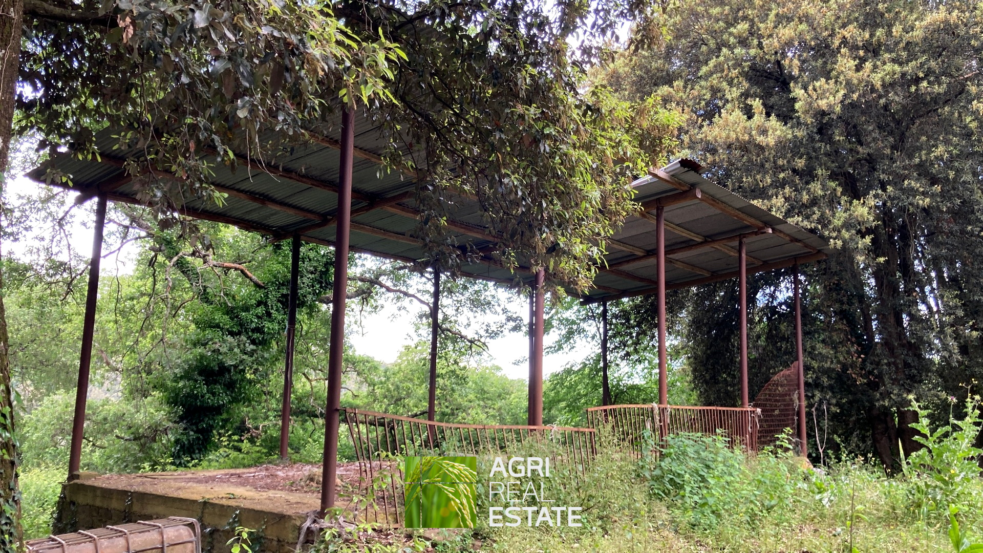 /api/file/public/265270/30114