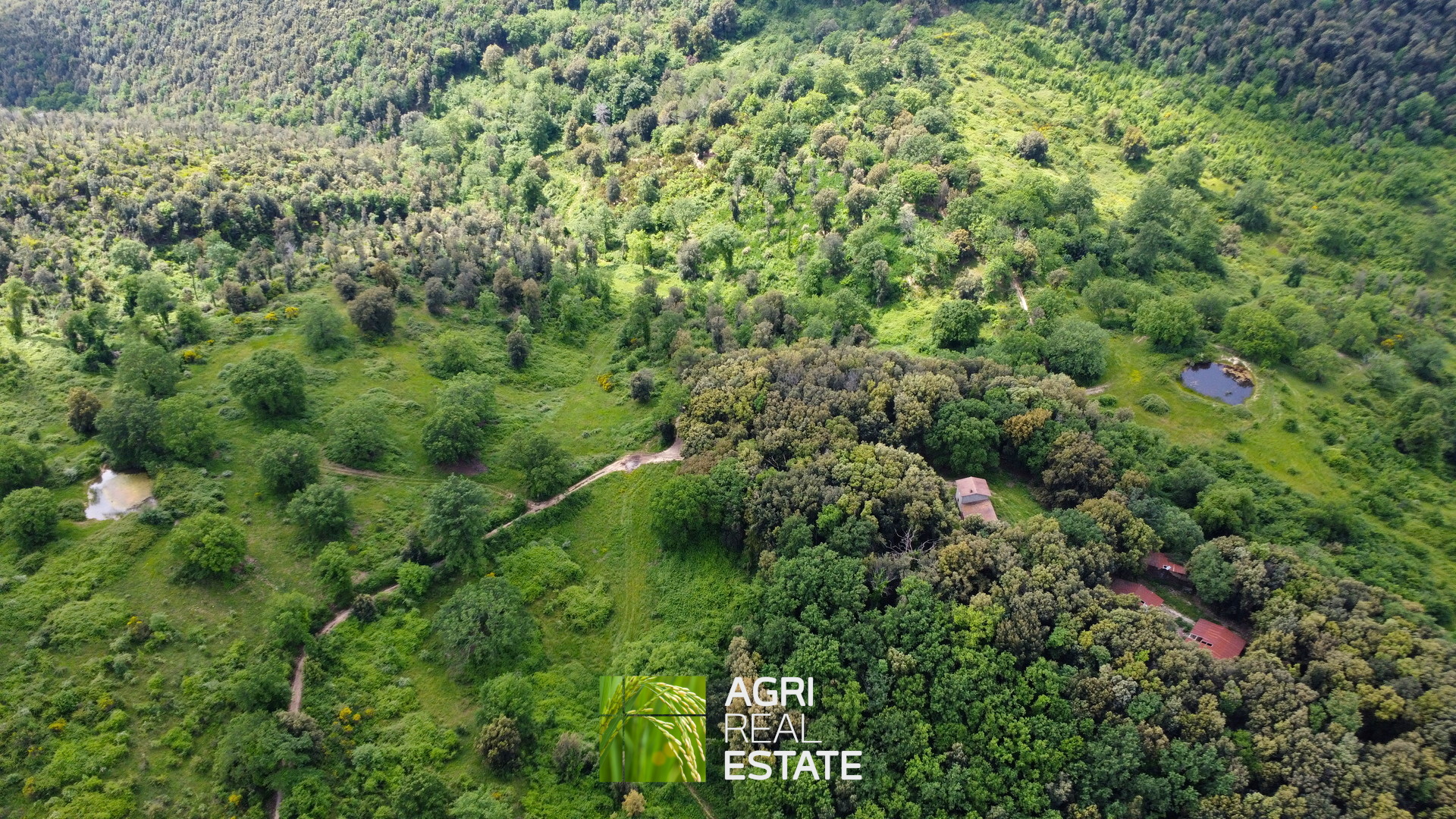 /api/file/public/265270/30115