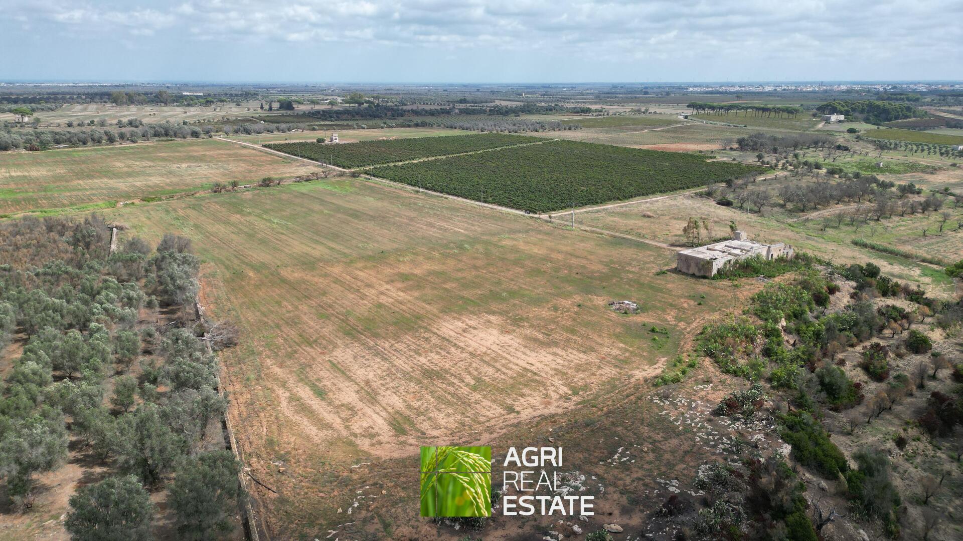 /api/file/public/265271/30117