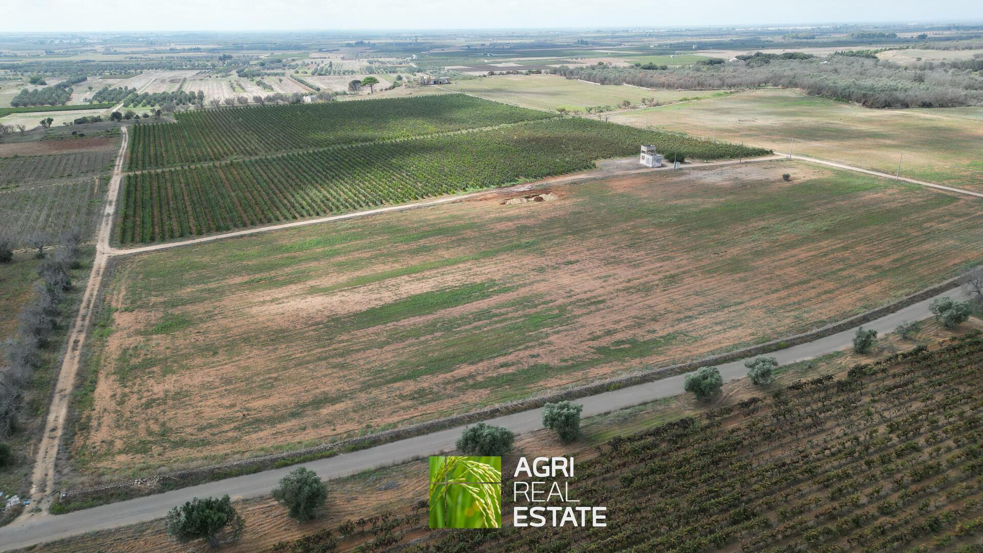 /api/file/public/265271/30118