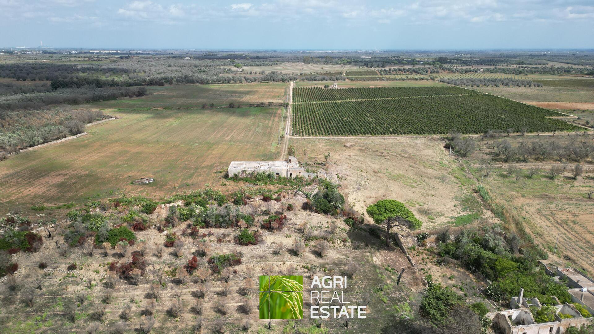 /api/file/public/265271/30120