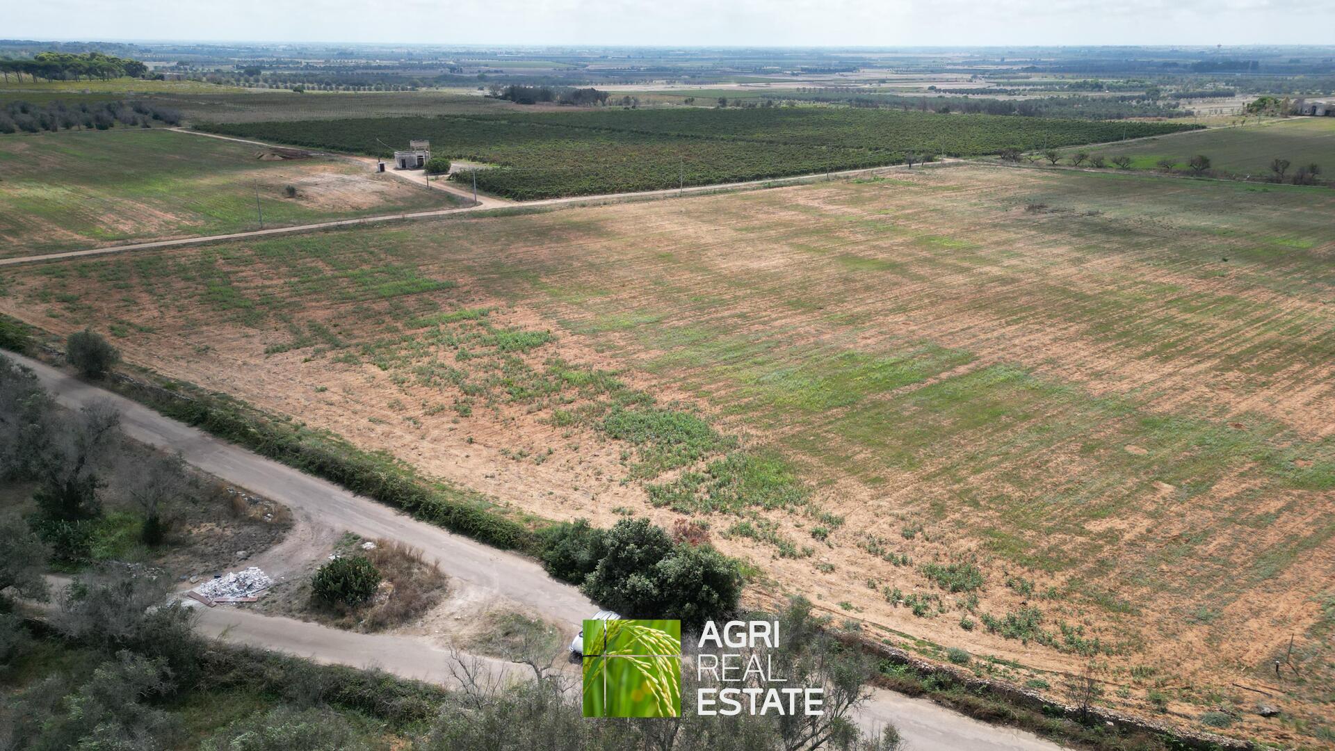 /api/file/public/265271/30121