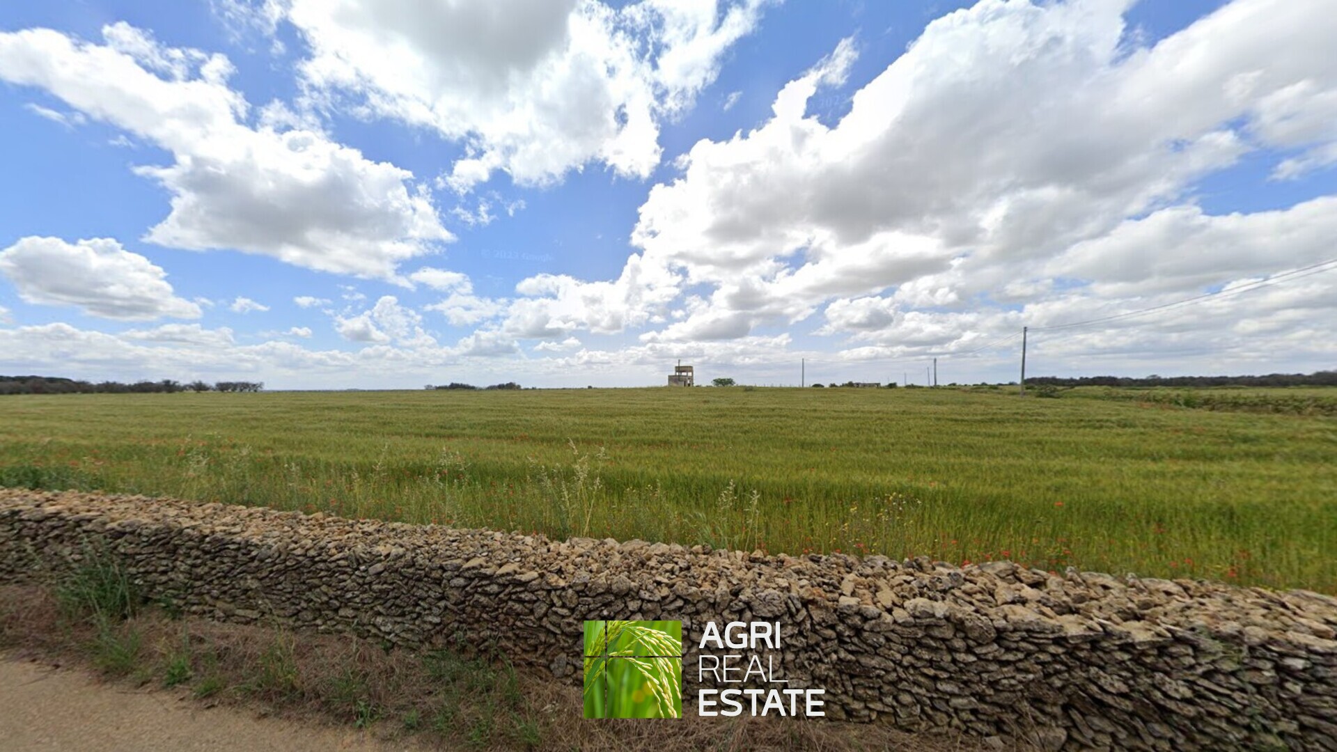 /api/file/public/265271/30122