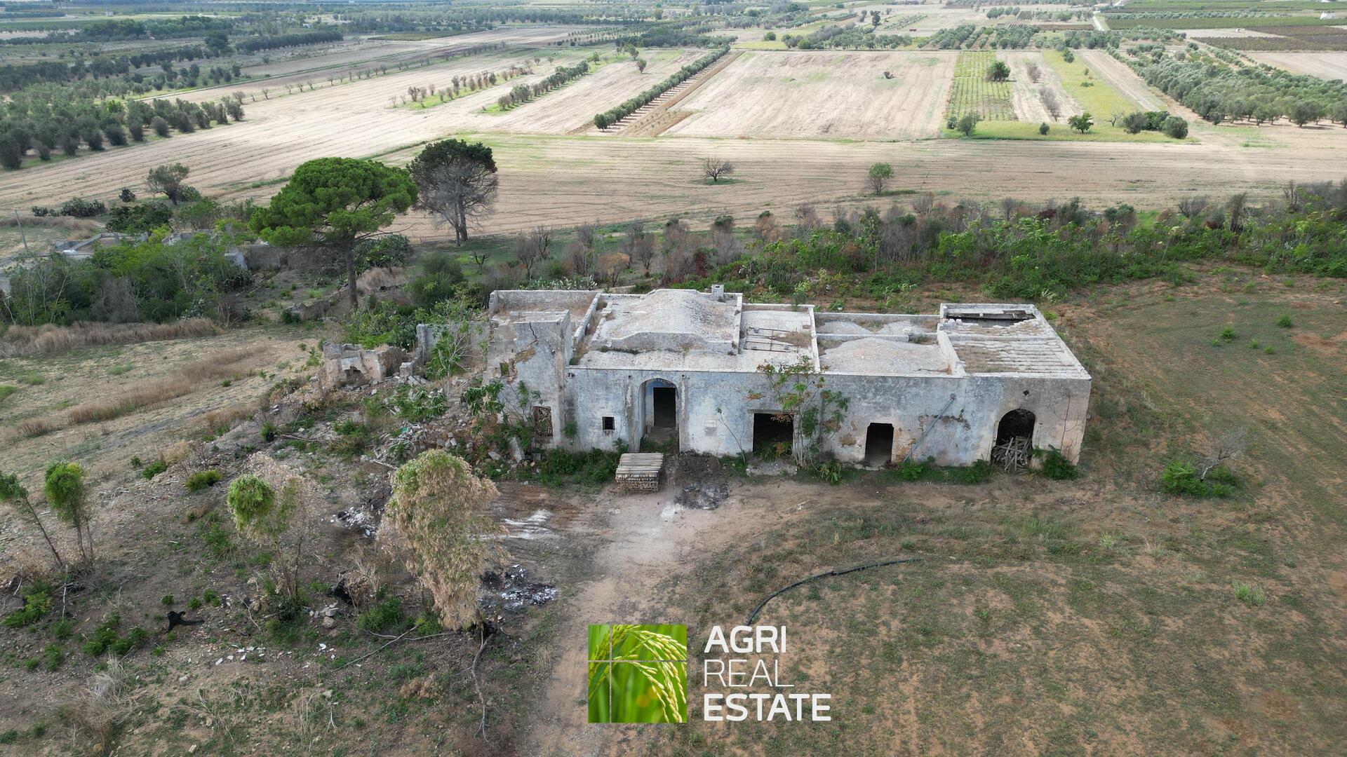 /api/file/public/265271/30124