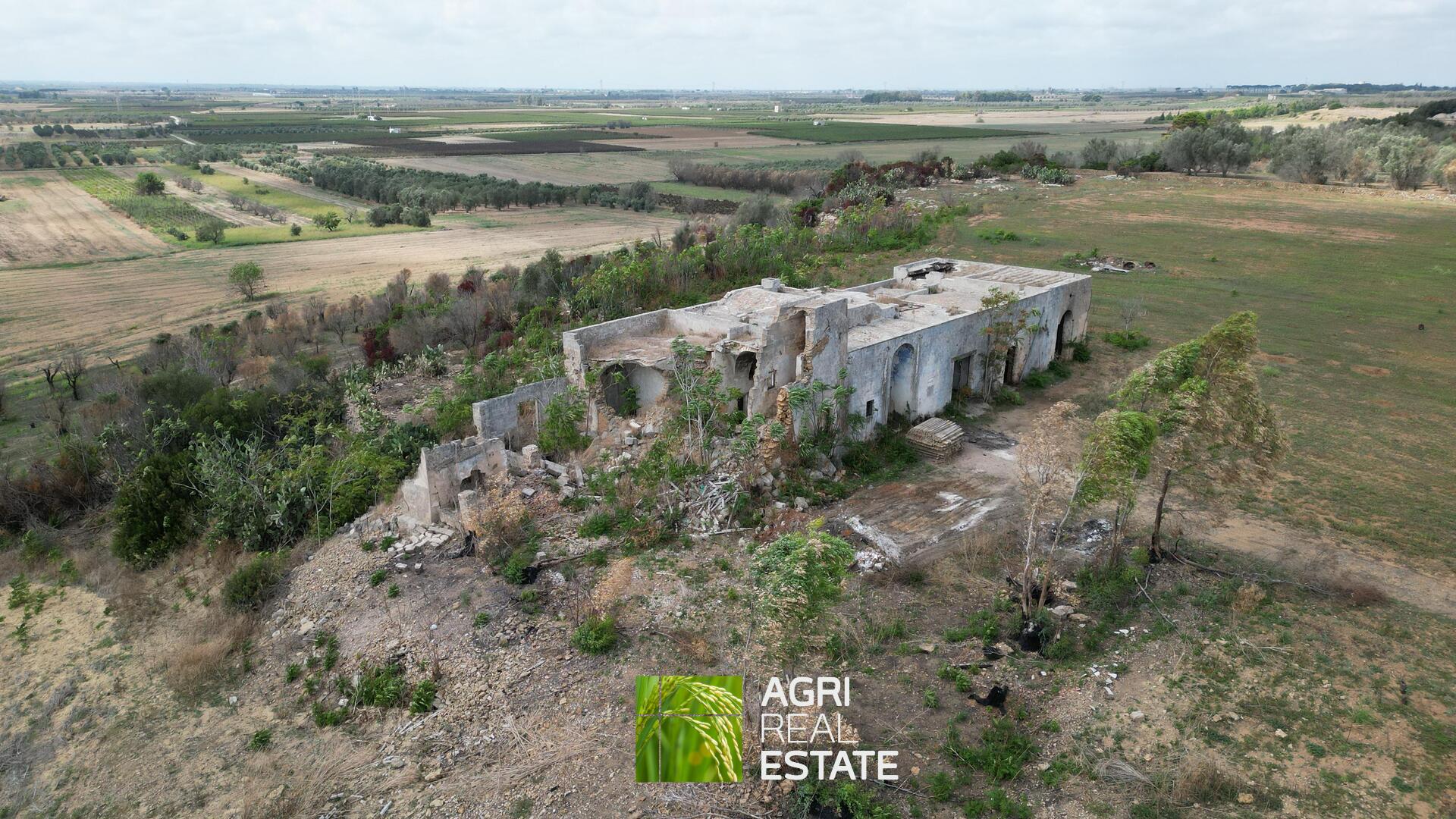 /api/file/public/265271/30127