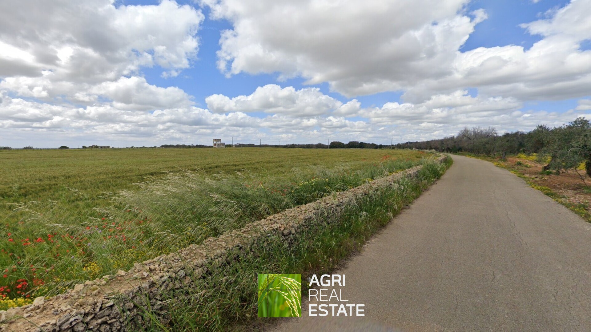 /api/file/public/265271/30128