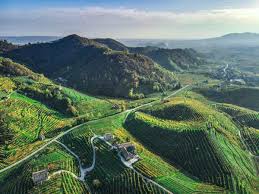 /api/file/public/265277/30161