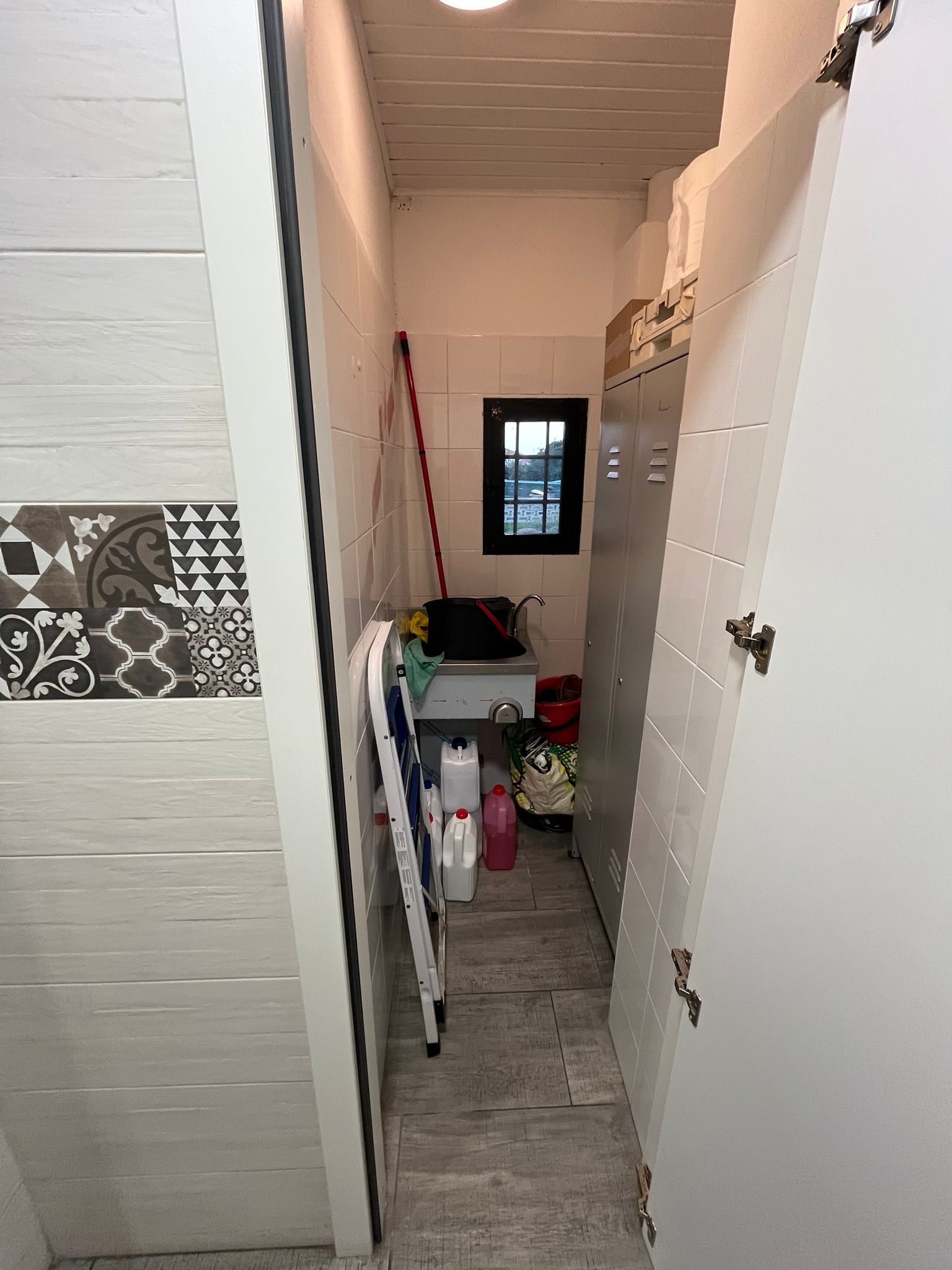 /api/file/public/265289/30185