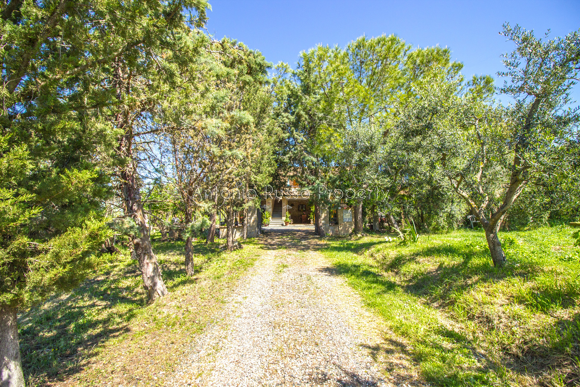 /api/file/public/265291/30241