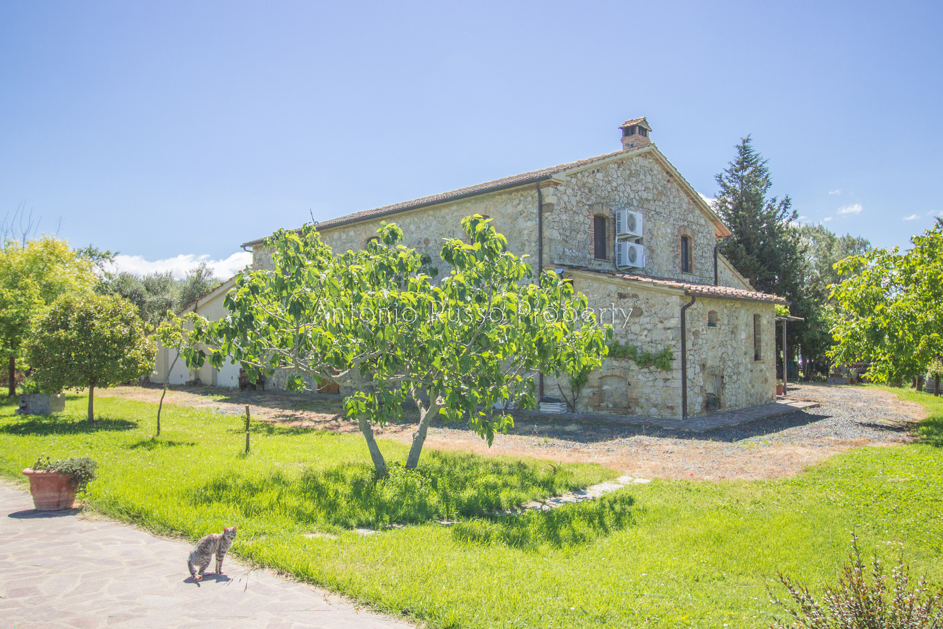 /api/file/public/265291/30242