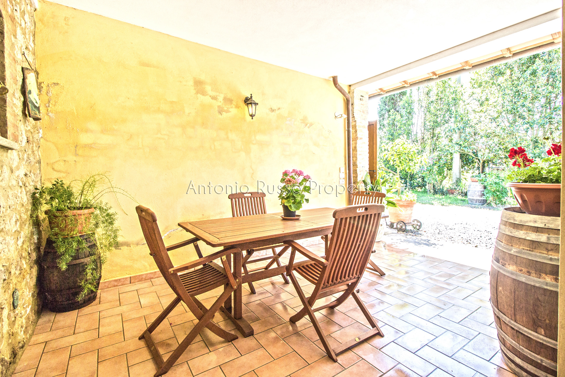 /api/file/public/265291/30244