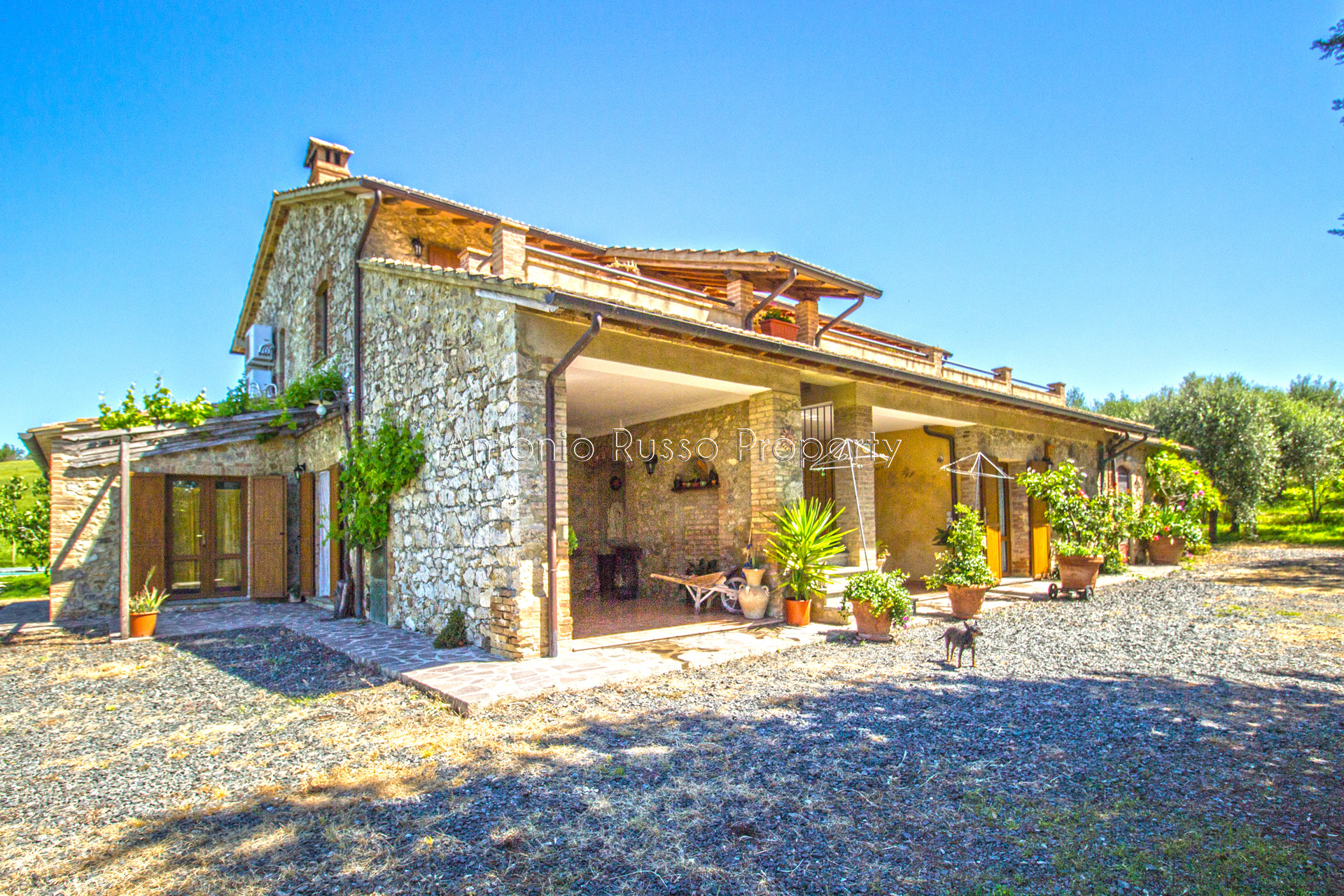 /api/file/public/265291/30261