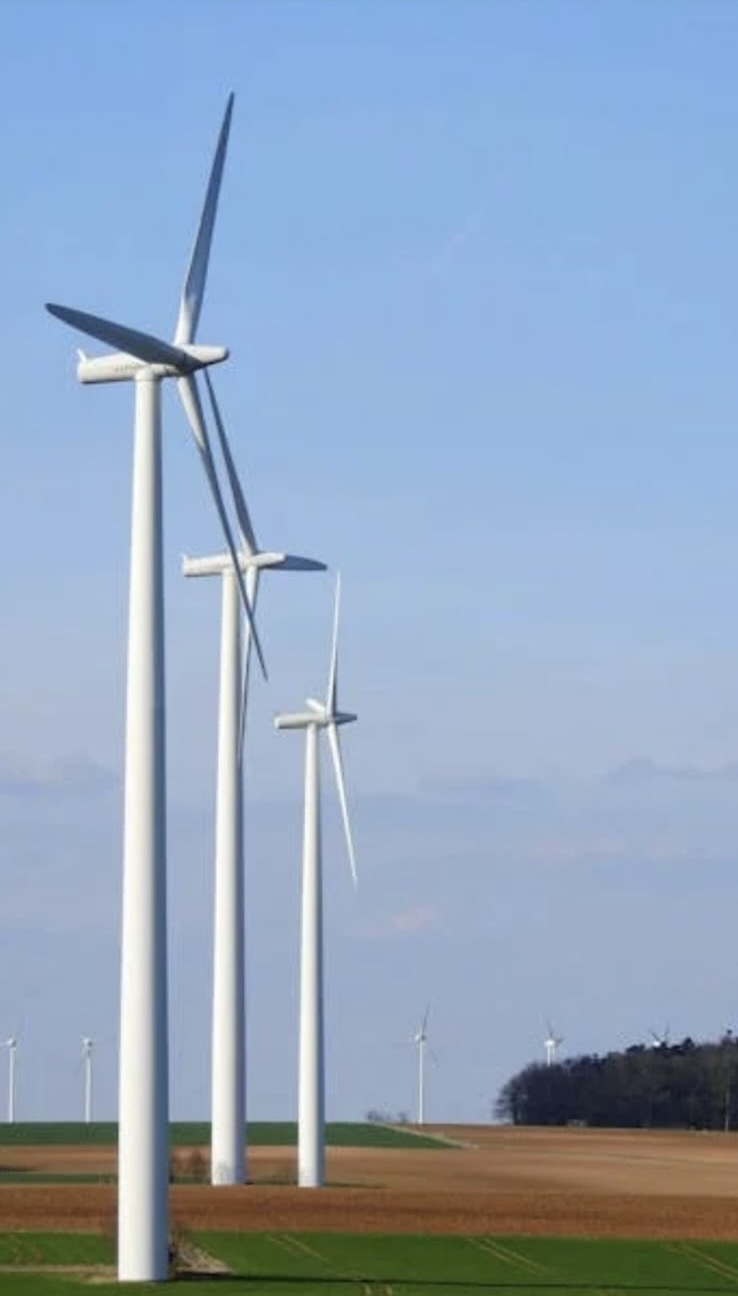 /api/file/public/265296/30271