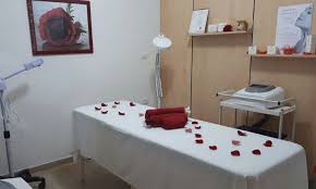 /api/file/public/265311/30333