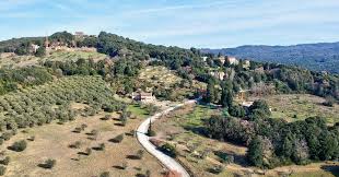 /api/file/public/265320/30430