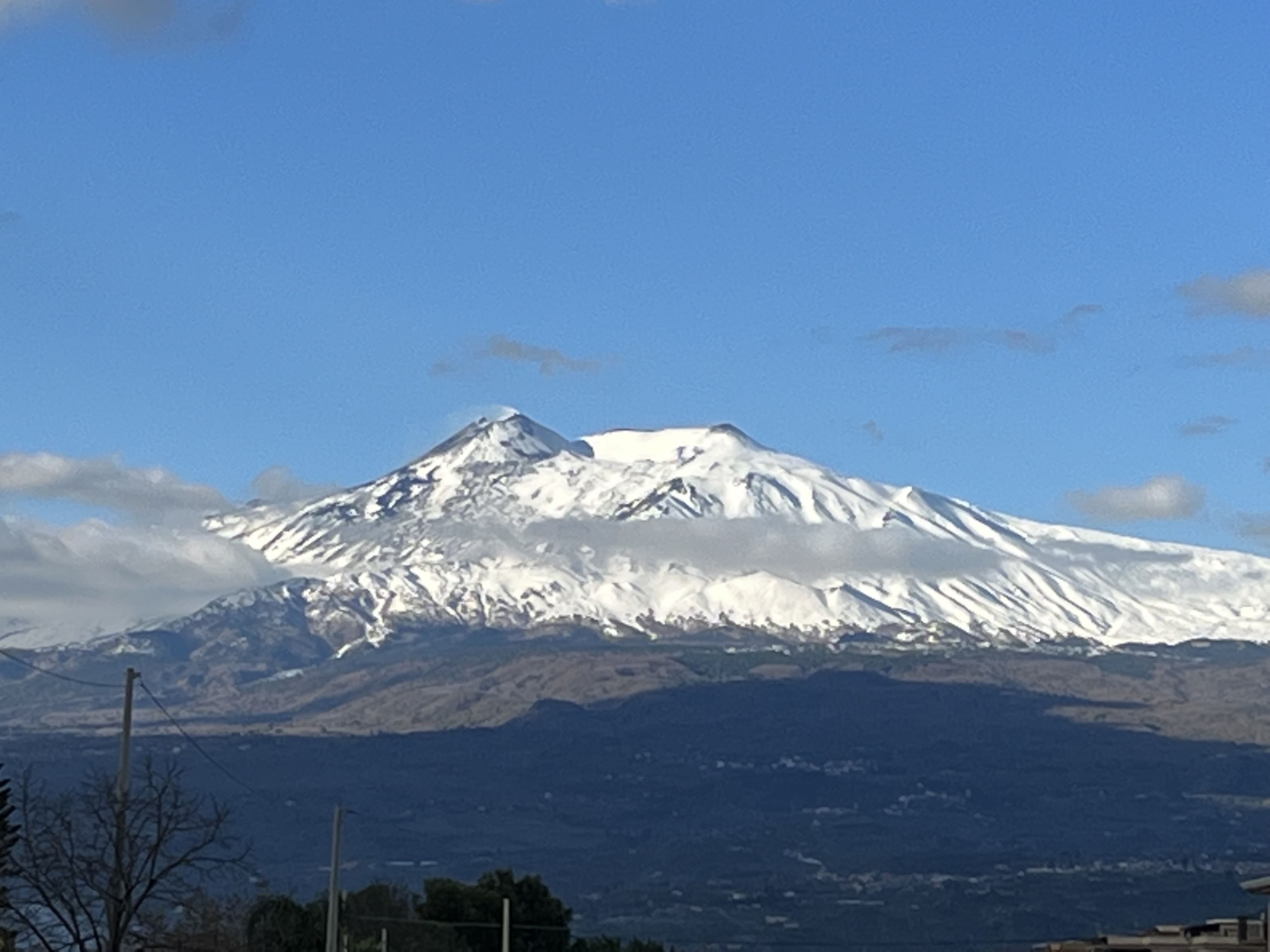 /api/file/public/265324/30449