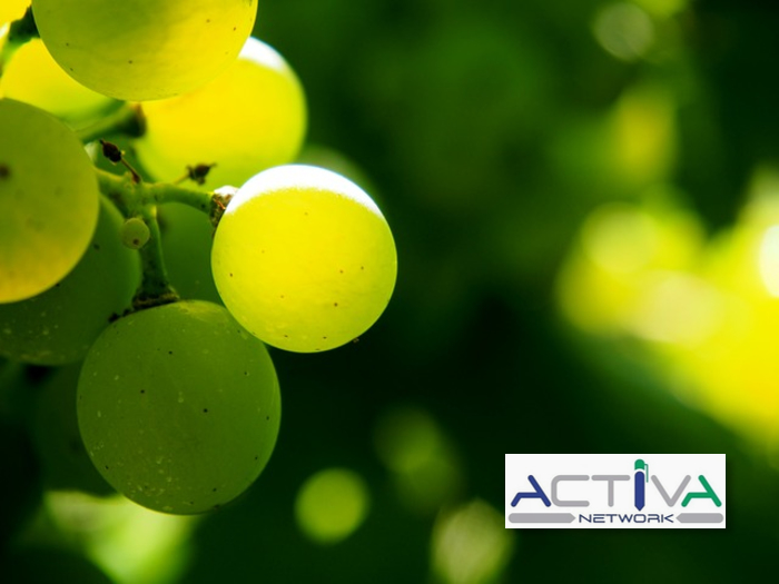 /api/file/public/265327/30469