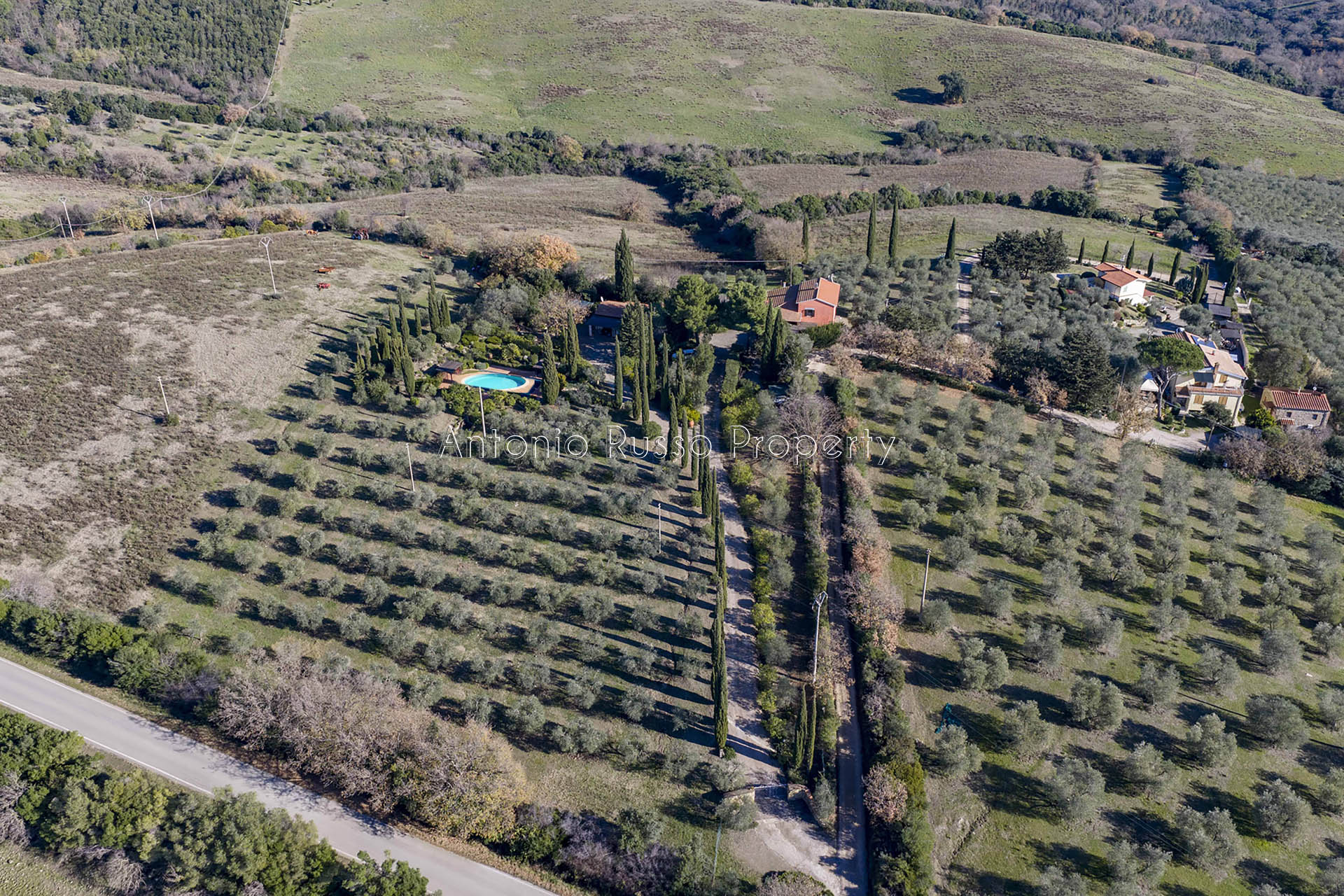 /api/file/public/265328/30478