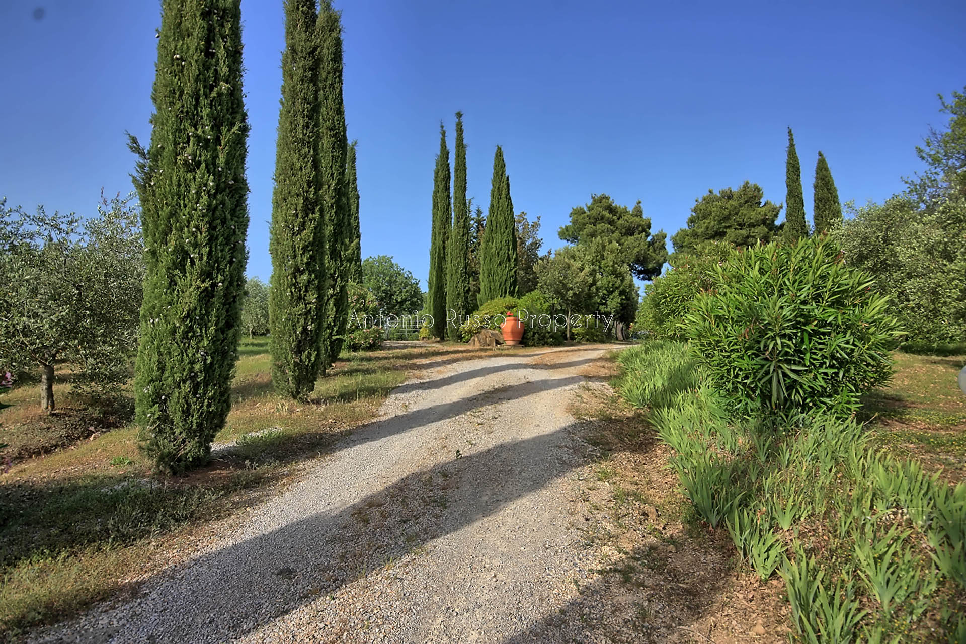 /api/file/public/265328/30480