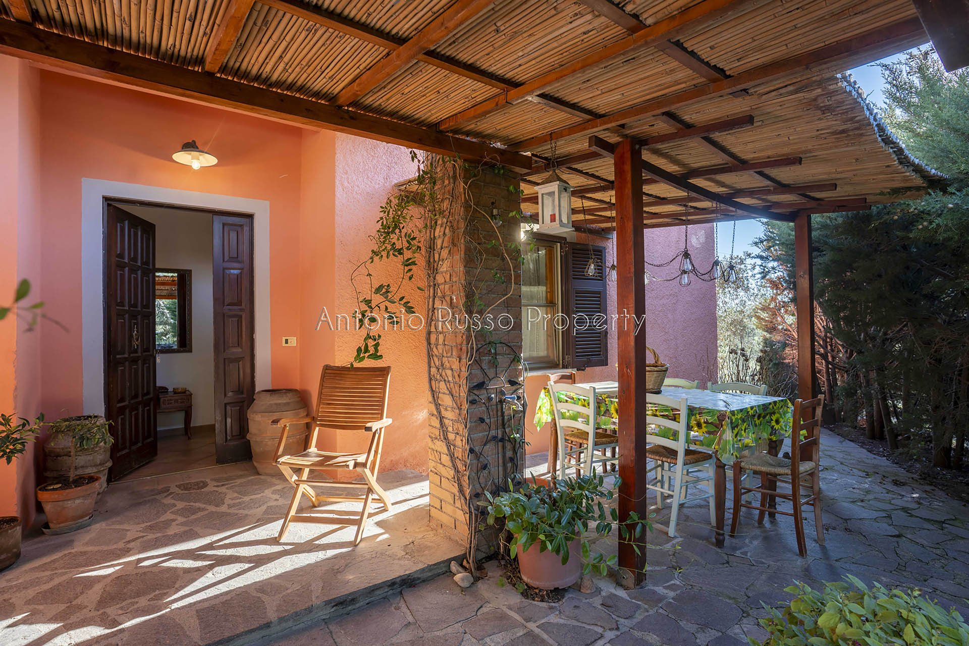 /api/file/public/265328/30481