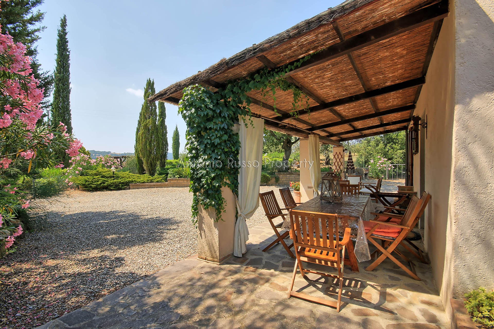 /api/file/public/265328/30502