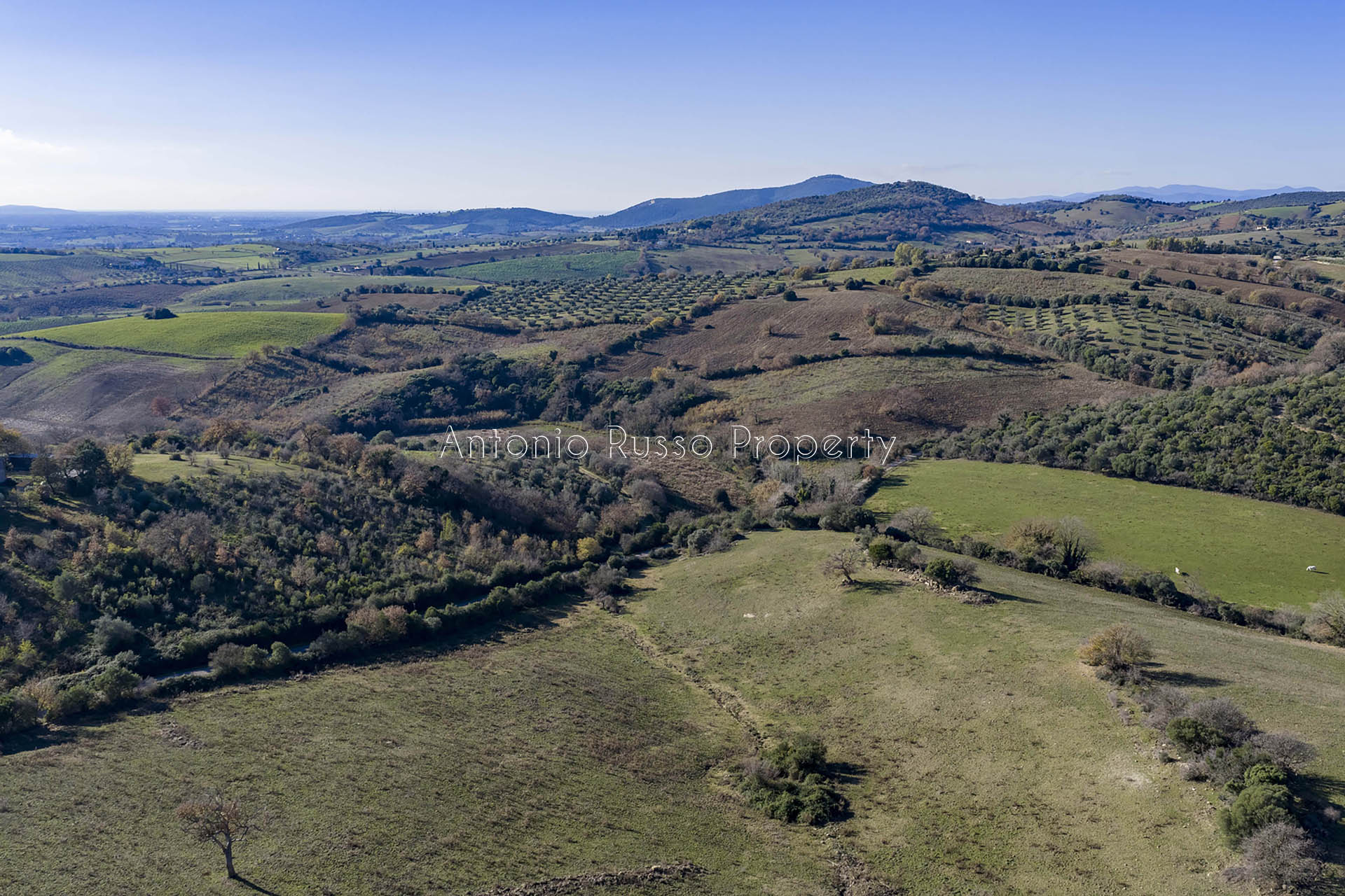 /api/file/public/265328/30513