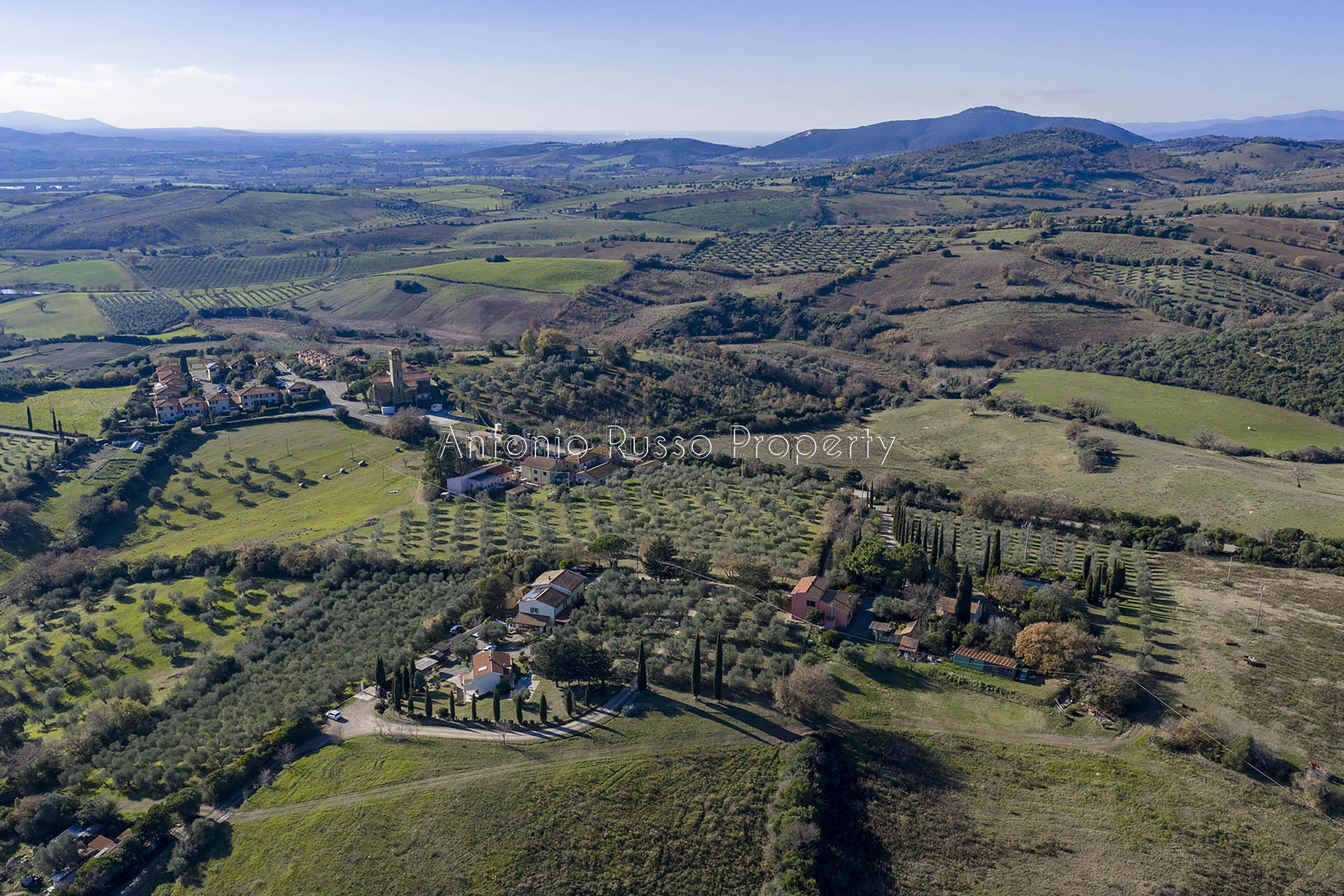 /api/file/public/265328/30517