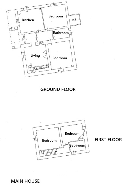 /api/file/public/265328/30518