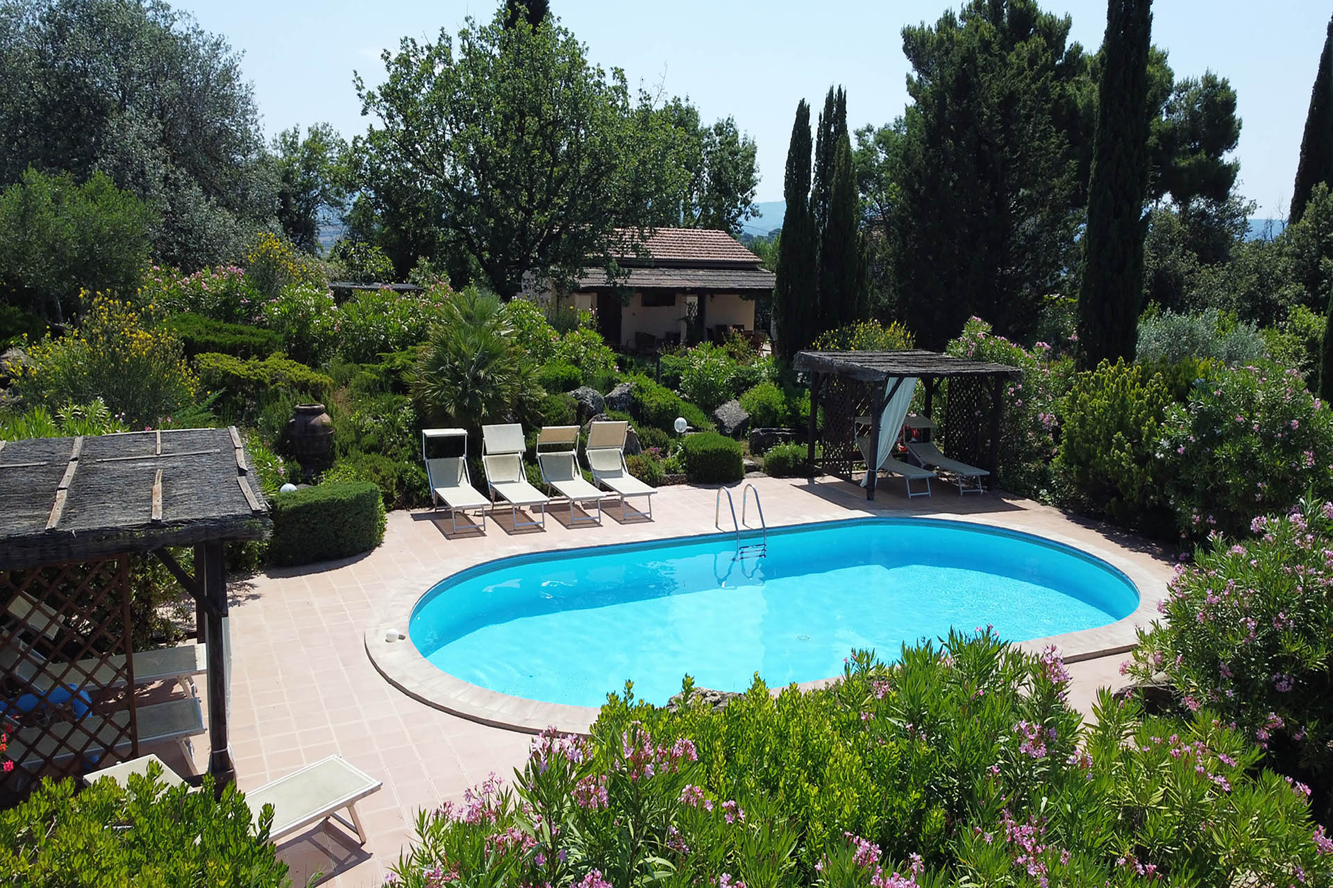 /api/file/public/265328/30854