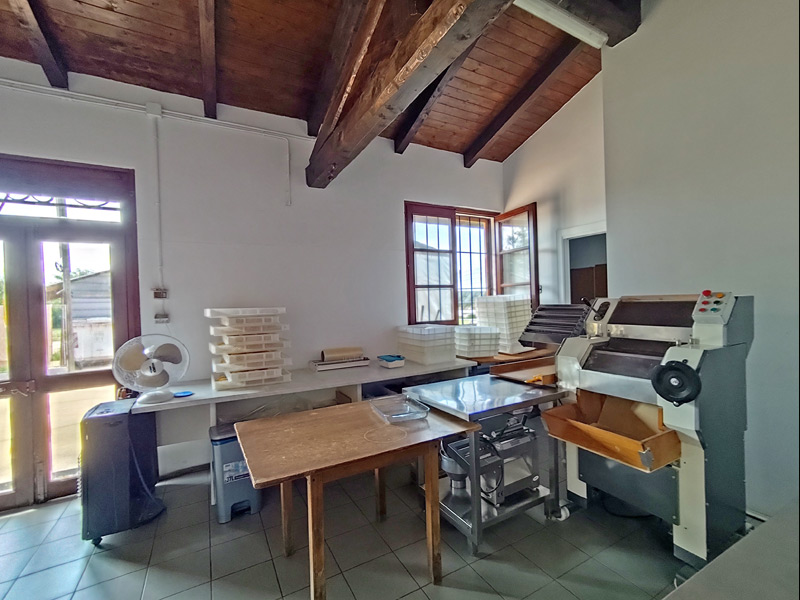 /api/file/public/265329/30525