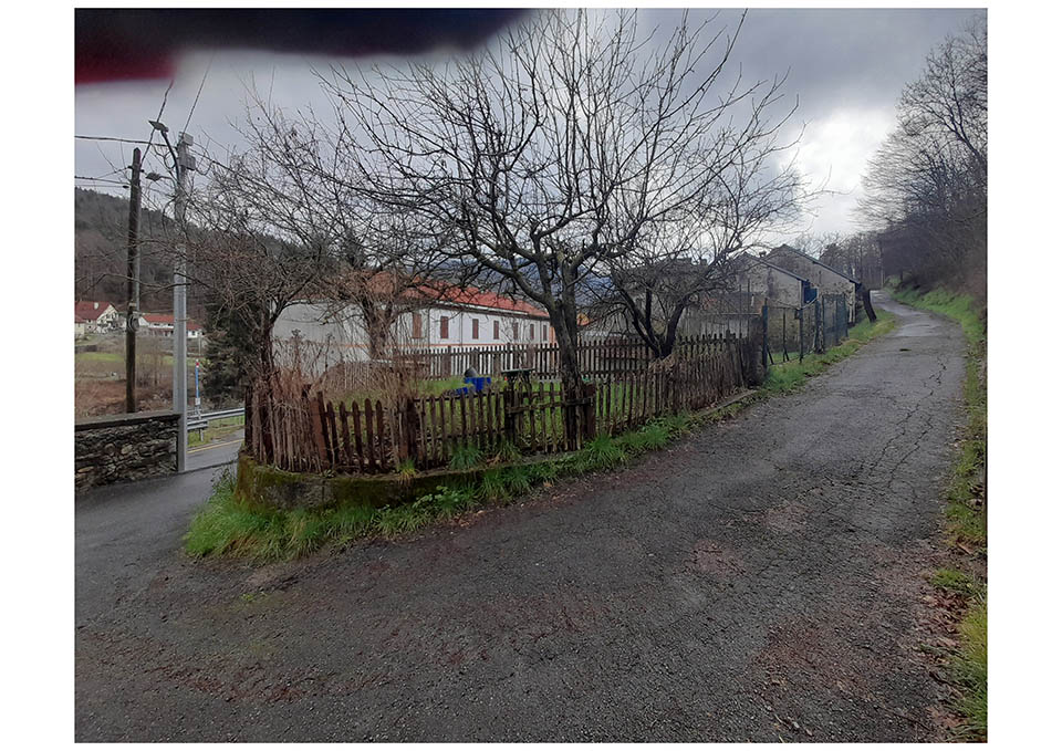 /api/file/public/265331/30590