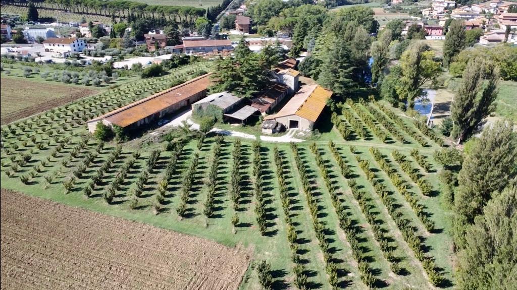 /api/file/public/265333/30596