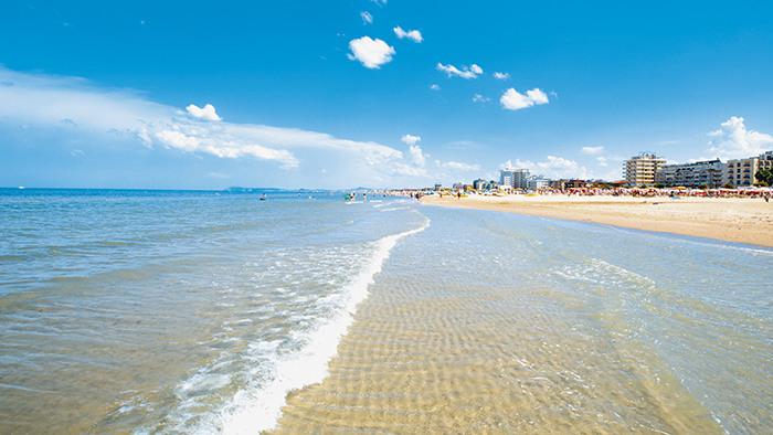 /api/file/public/265342/30641