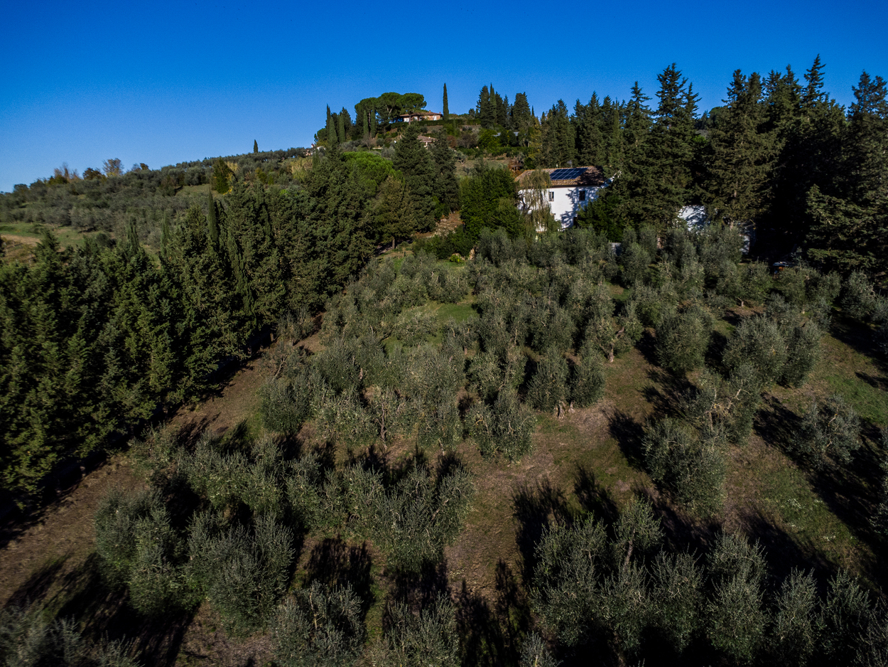 /api/file/public/265345/30679