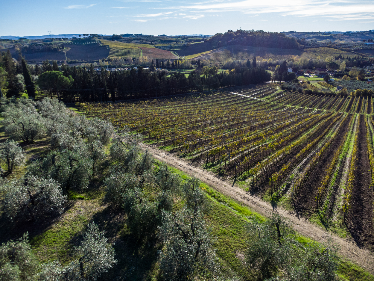 /api/file/public/265345/30682