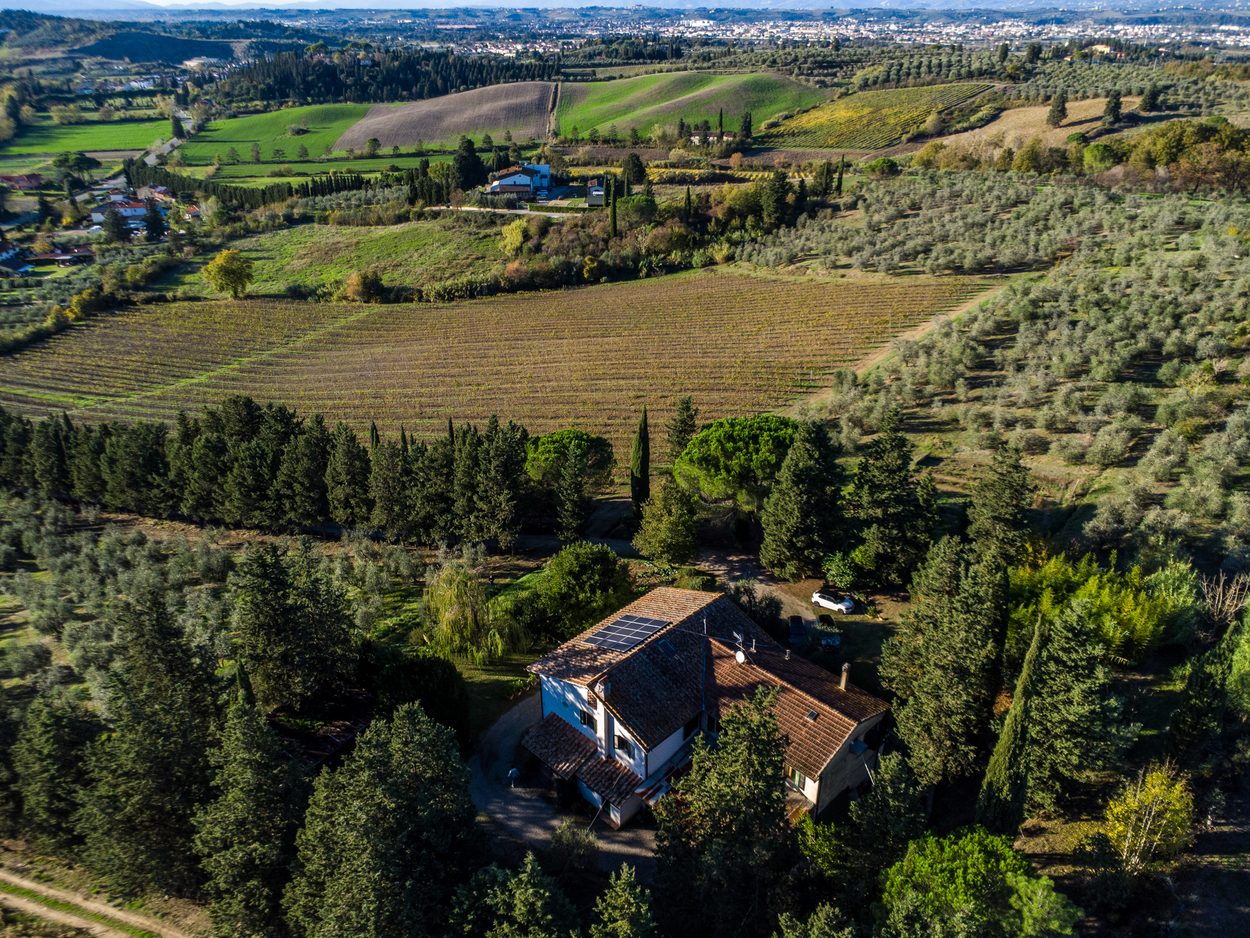 /api/file/public/265345/30683