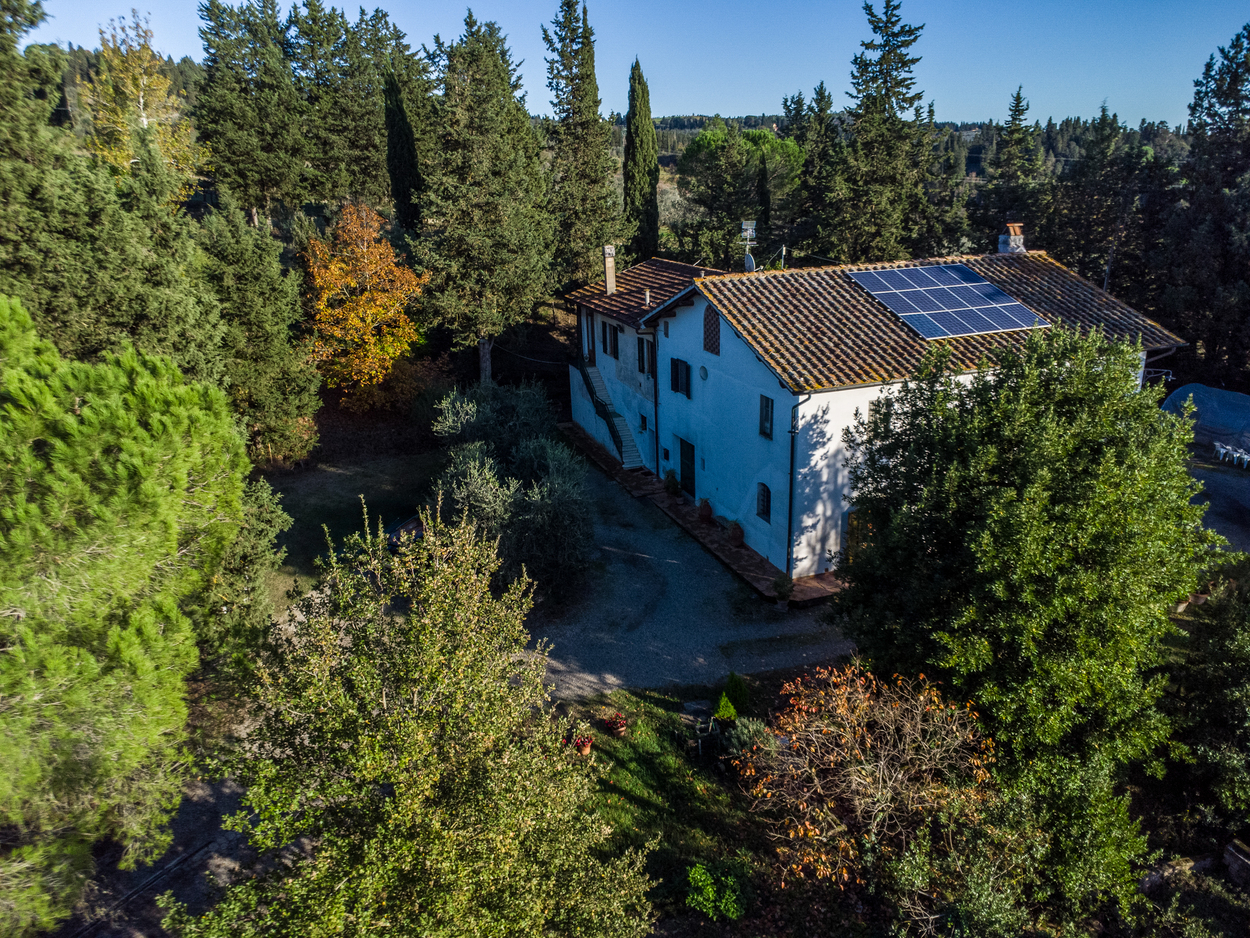 /api/file/public/265345/30684