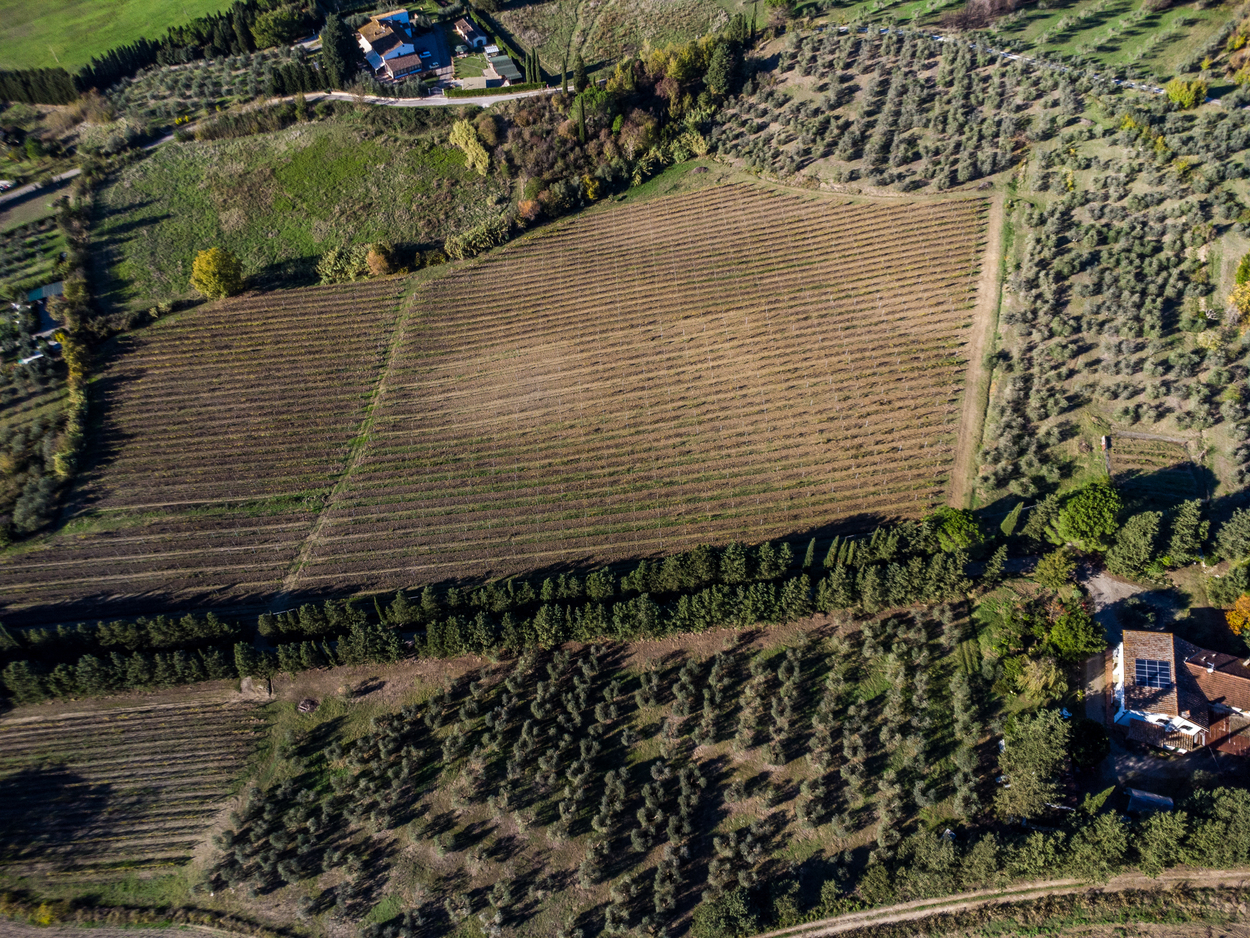 /api/file/public/265345/30685