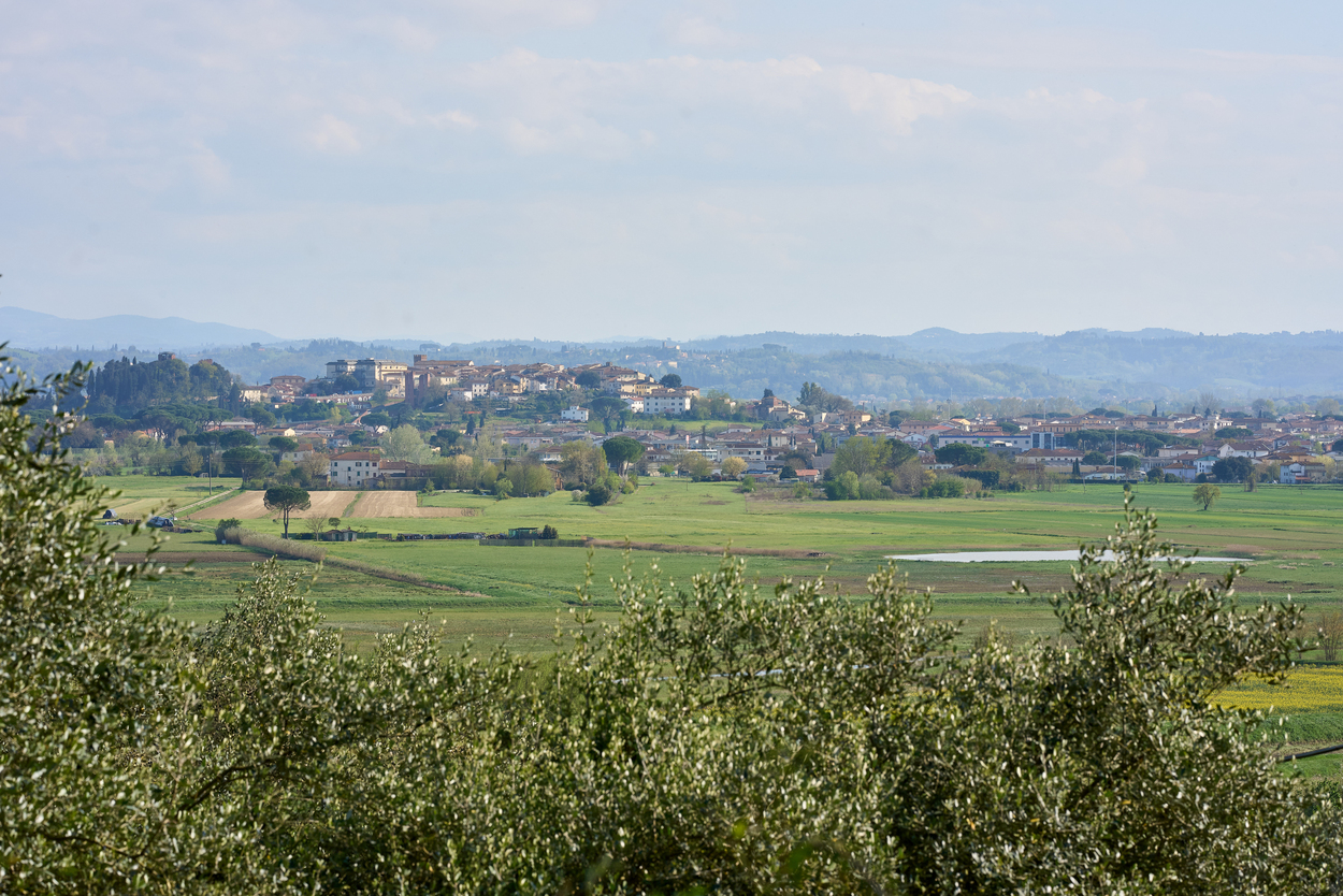 /api/file/public/265346/30706