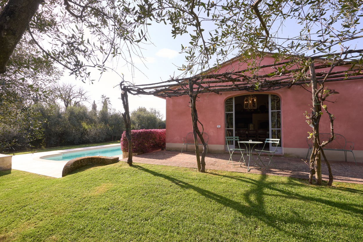 /api/file/public/265346/30715