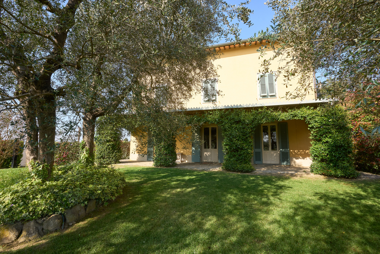 /api/file/public/265346/30716