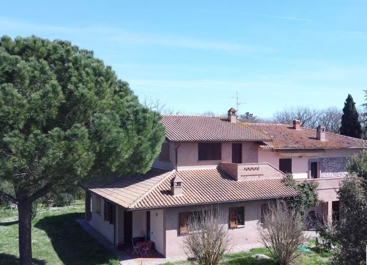 /api/file/public/265352/30748