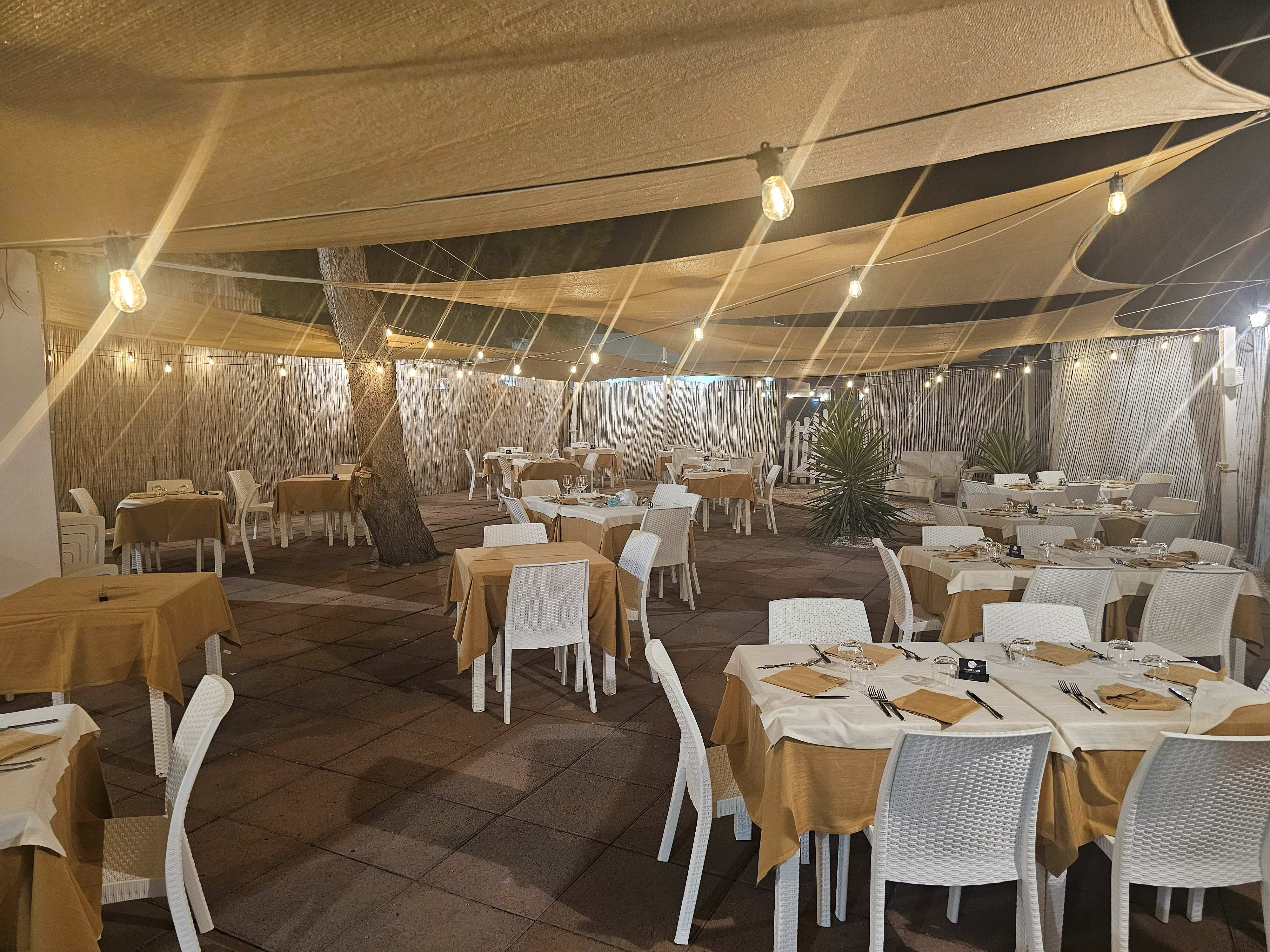 /api/file/public/265354/30819